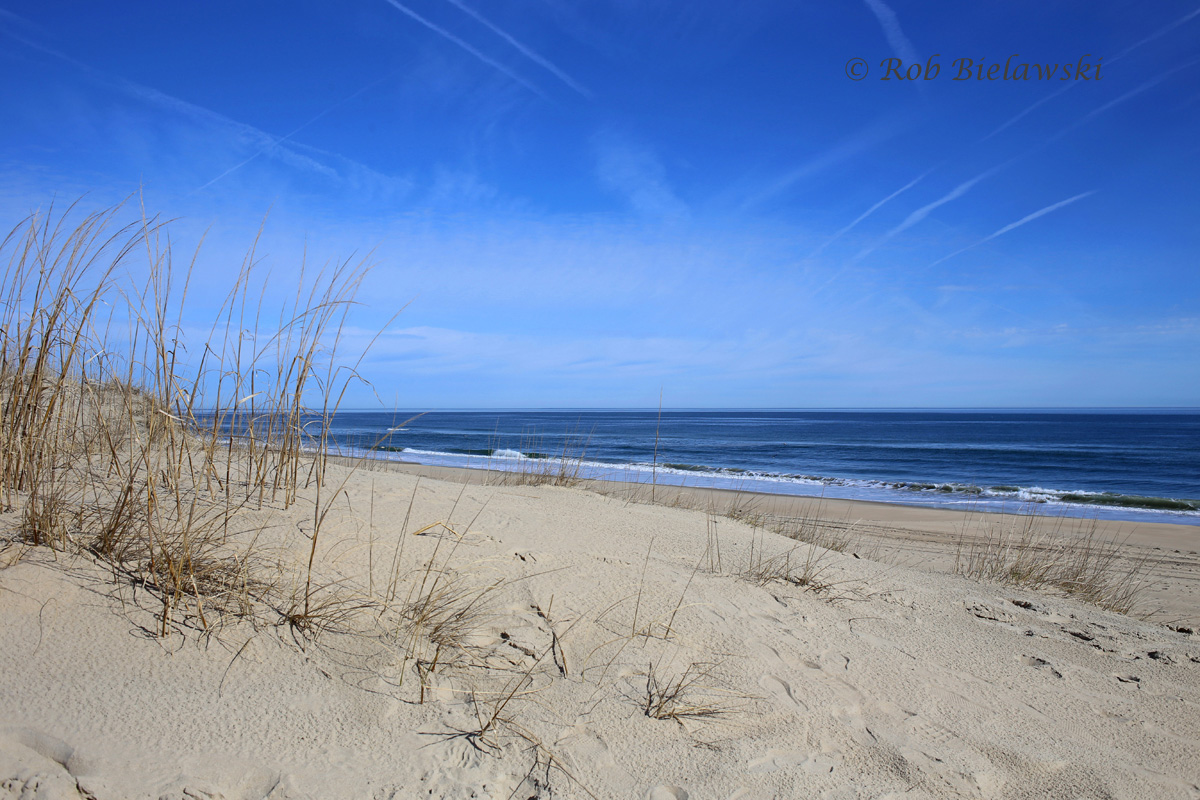 Dunes & Beach