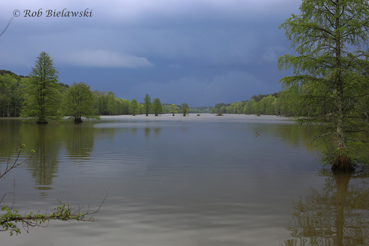   Stumpy Lake &amp; Storm / 22 Apr 2016 / Stumpy Lake NA  