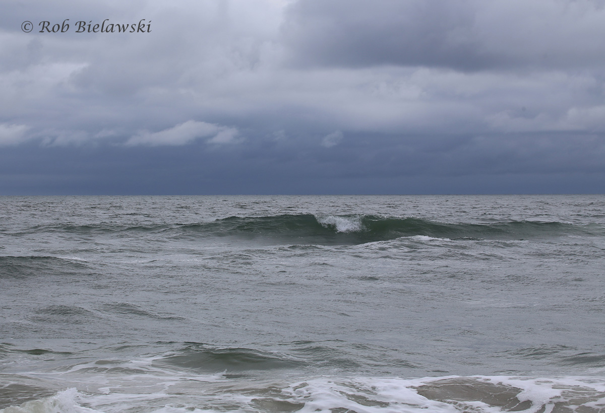   Atlantic Ocean / 22 May 2016 / Back Bay NWR  