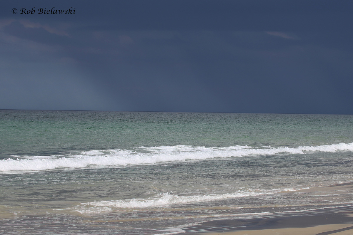   Storm over the Atlantic / 29 Jul 2016 / Back Bay NWR  