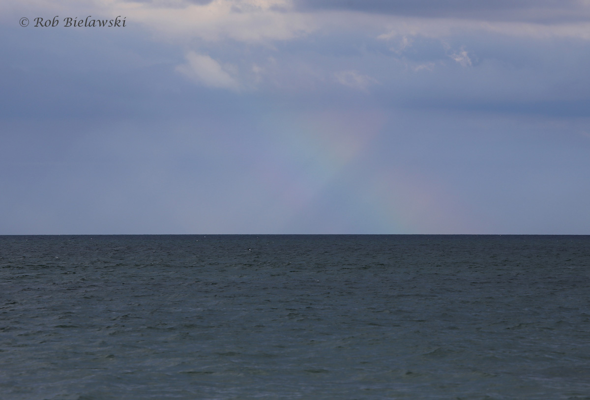   Rainbow over the Atlantic / 29 Jul 2016 / Back Bay NWR  