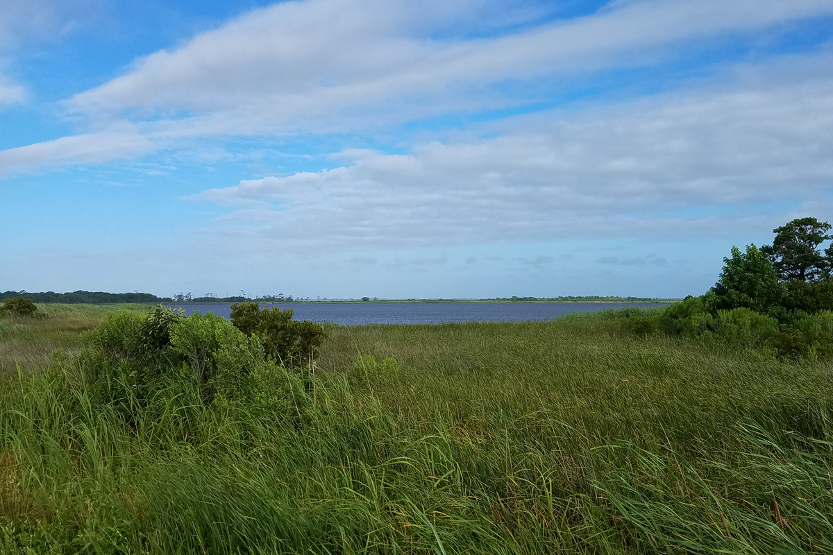 Back Bay during Tropical Storm Chris / 8 Jul / Back Bay NWR