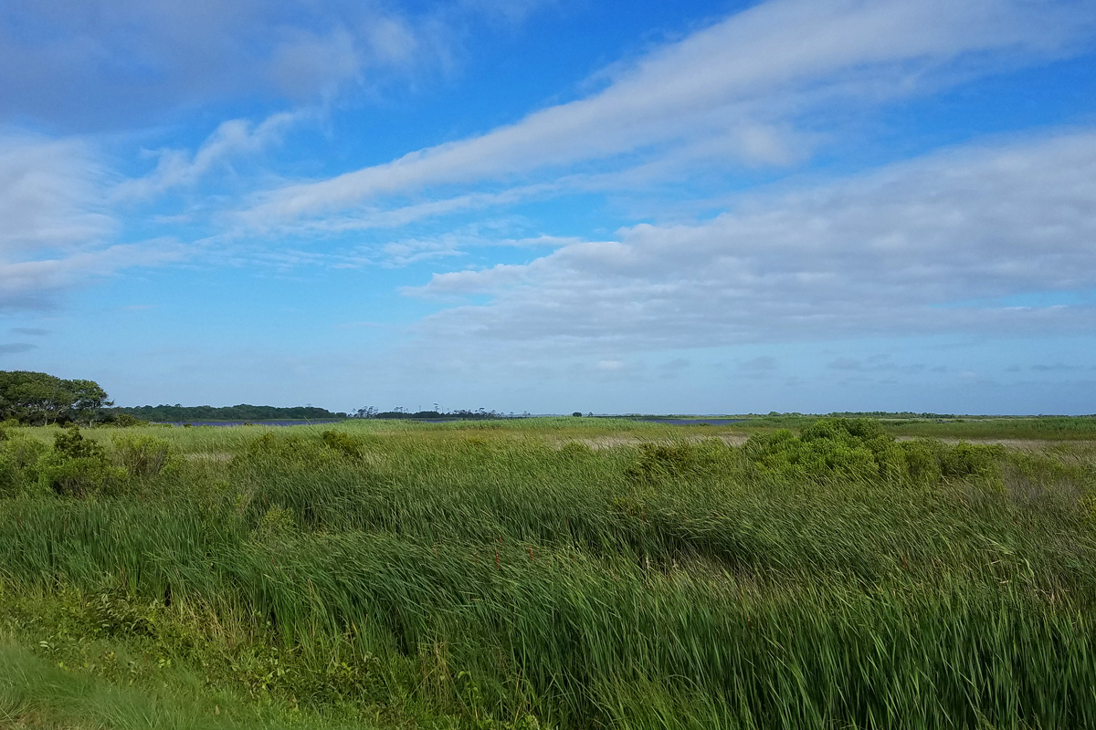 Back Bay during Tropical Storm Chris / 8 Jul / Back Bay NWR