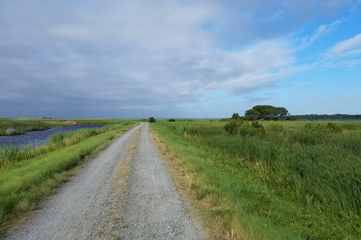 Back Bay during Tropical Storm Chris / 8 Jul / Back Bay NWR