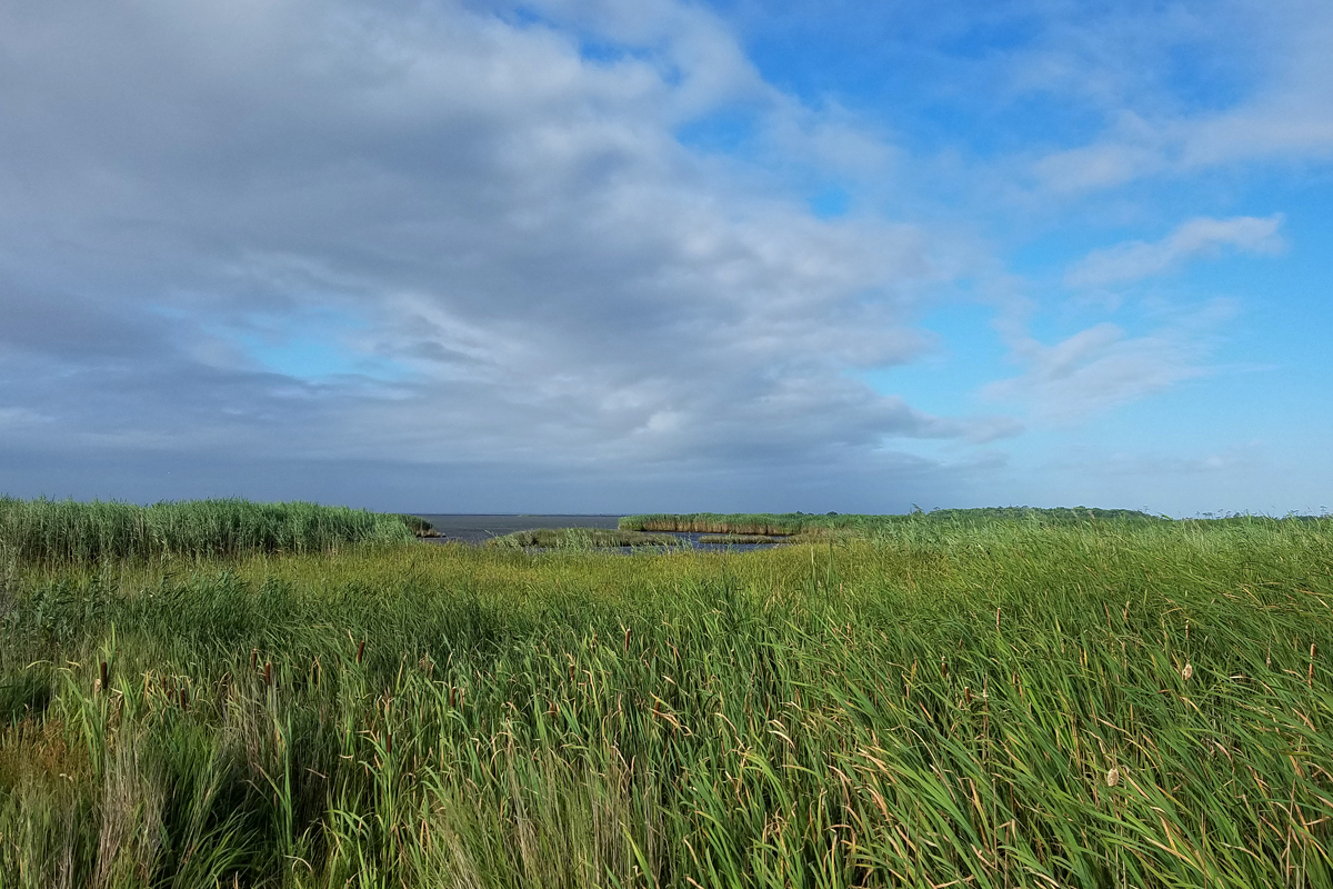 Back Bay during Tropical Storm Chris / 8 Jul / Back Bay NWR