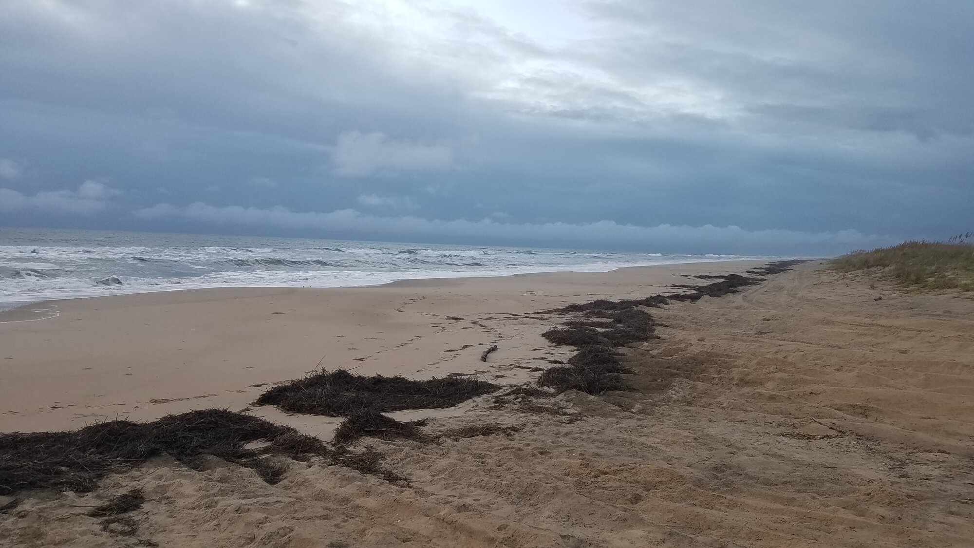  Back Bay NWR’s beach on 15 Sep, still showing debris line from Hurricane Dorian. 