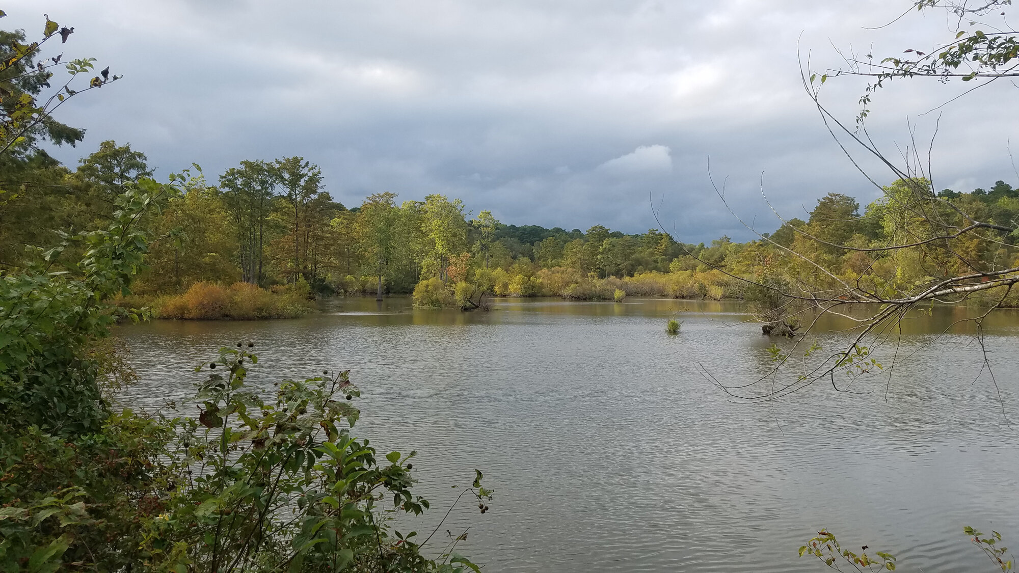  Stumpy Lake on 17 Sep, north of the causeway. 