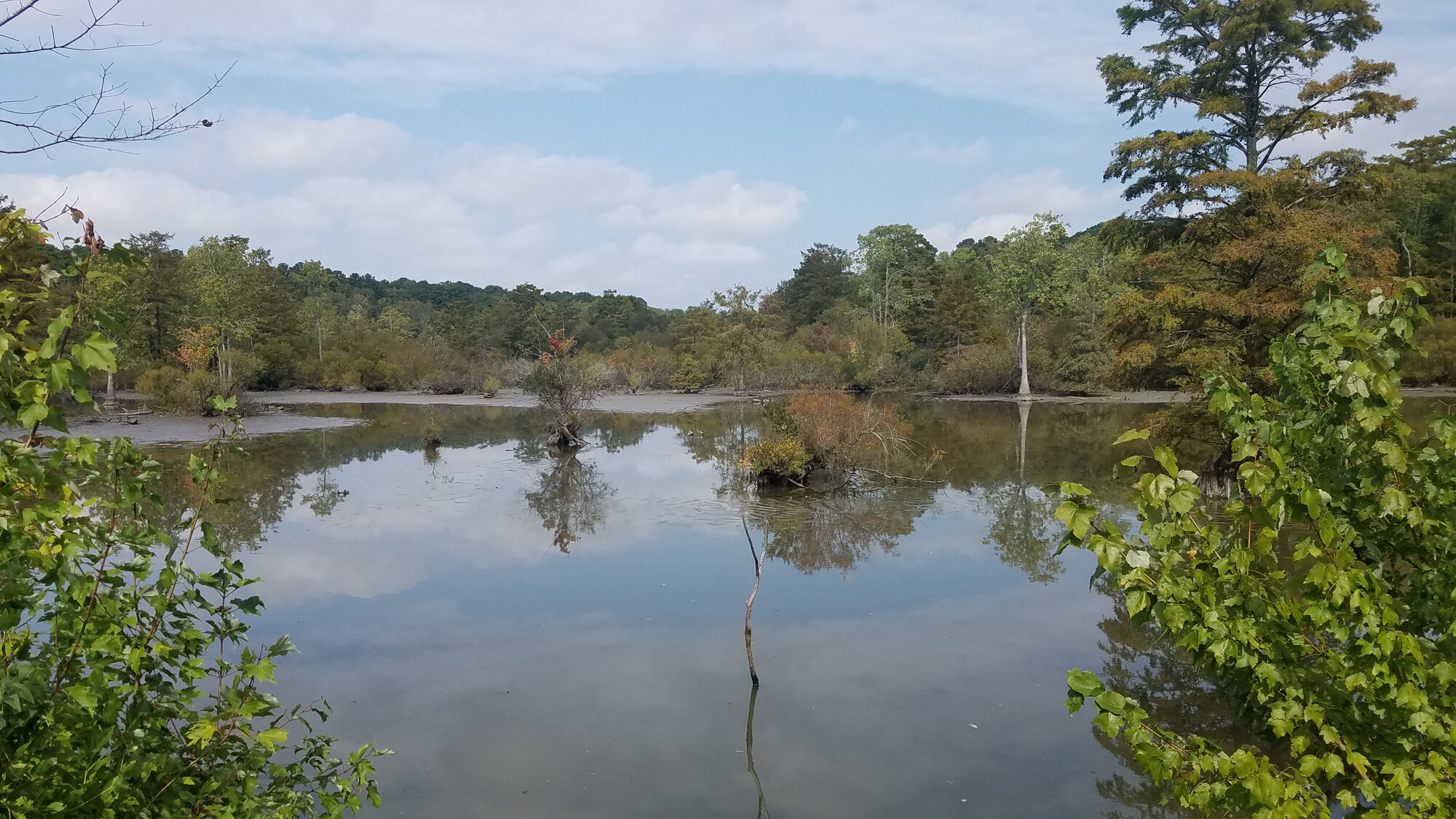  Stumpy Lake on 28 Sep, north of the causeway after several weeks without rainfall (showing low water mudflats). 