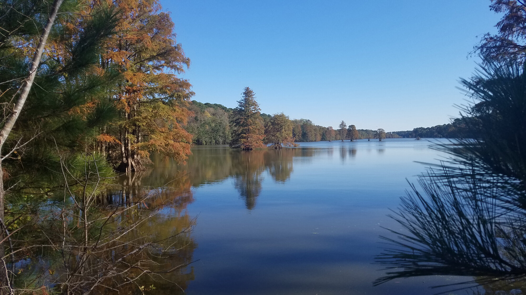  Fall Foliage at Stumpy Lake NA / 1 Nov 