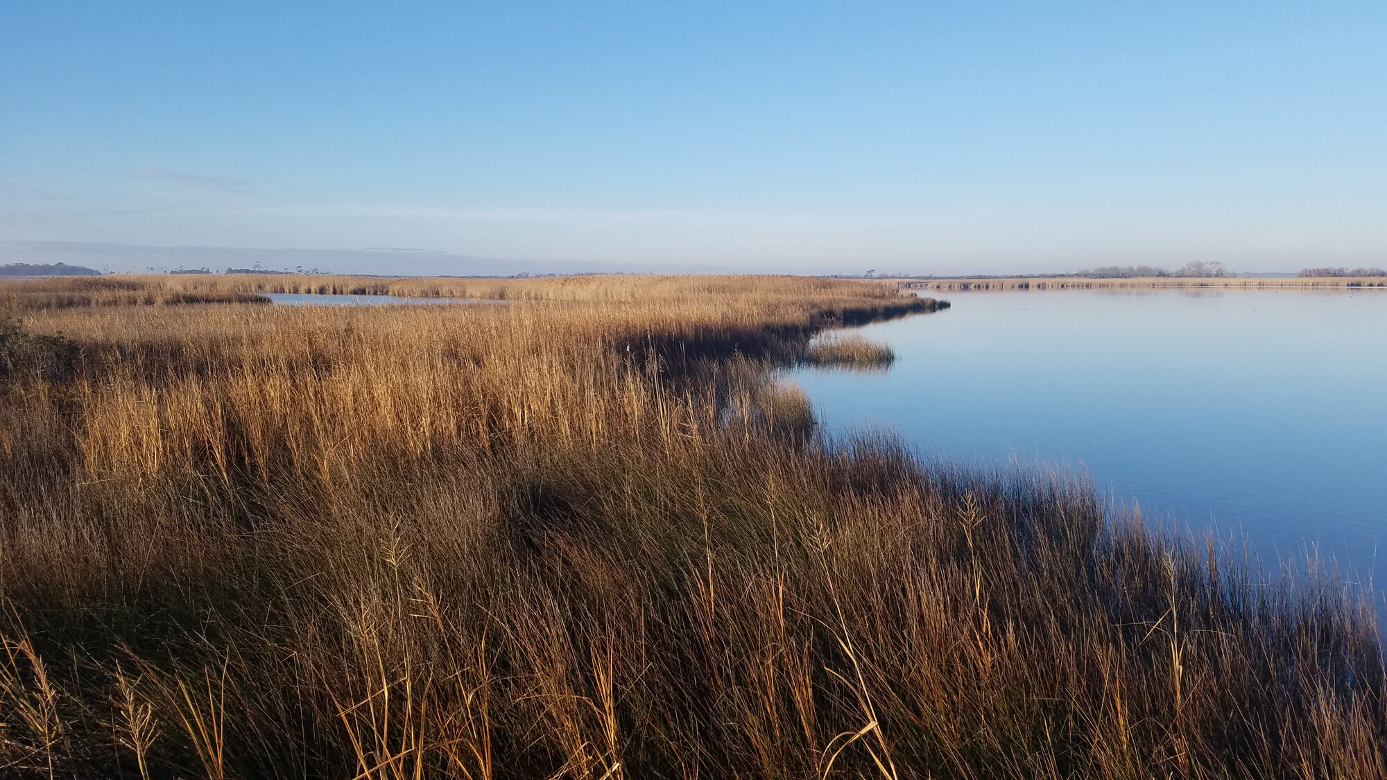  Kuralt Trail view at Back Bay NWR / 28 Dec 