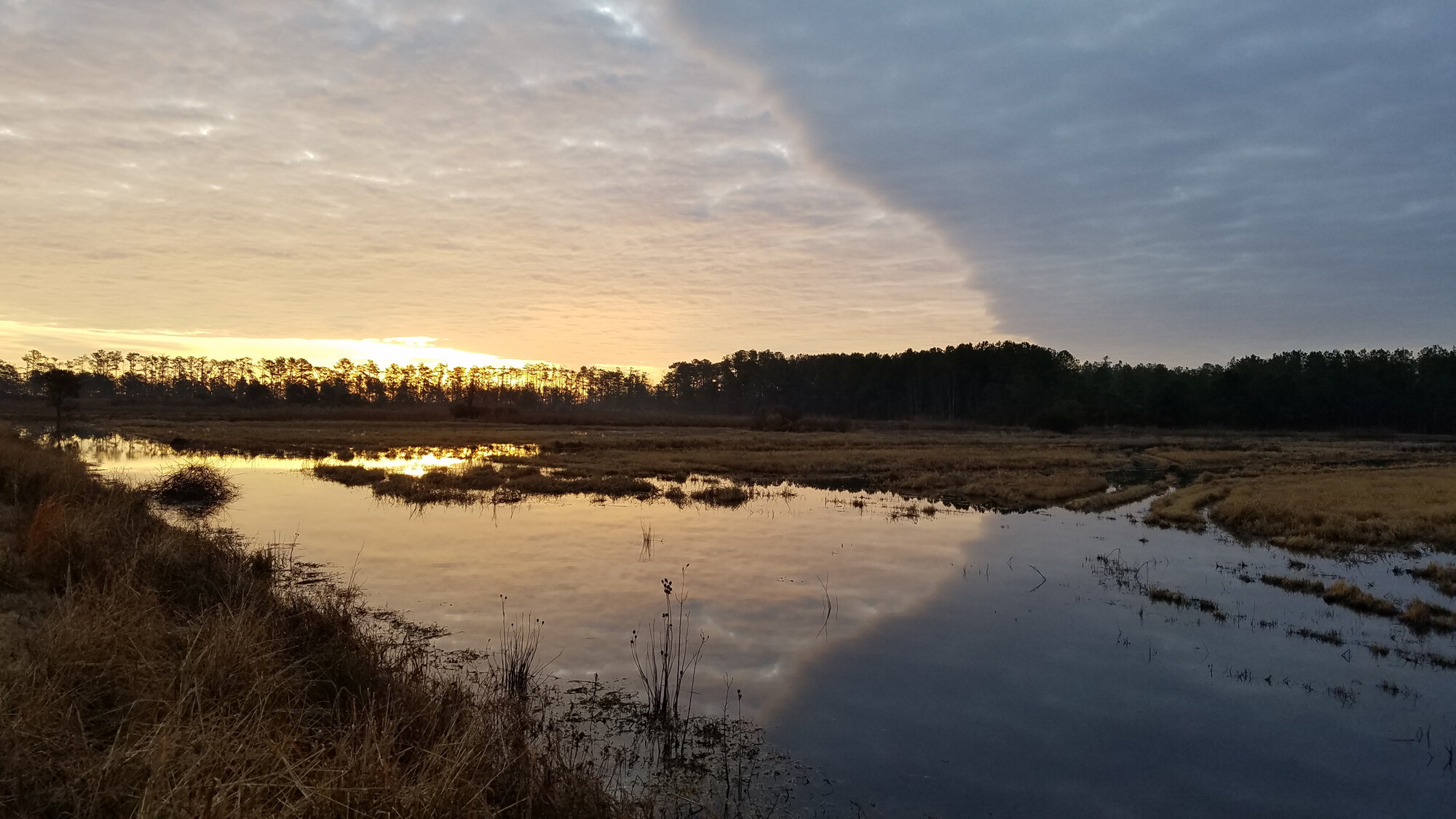  Sunrise &amp; frontal boundary Princess Anne WMA Whitehurst Tract / 29 Dec; please click this photo to advance to the next! 