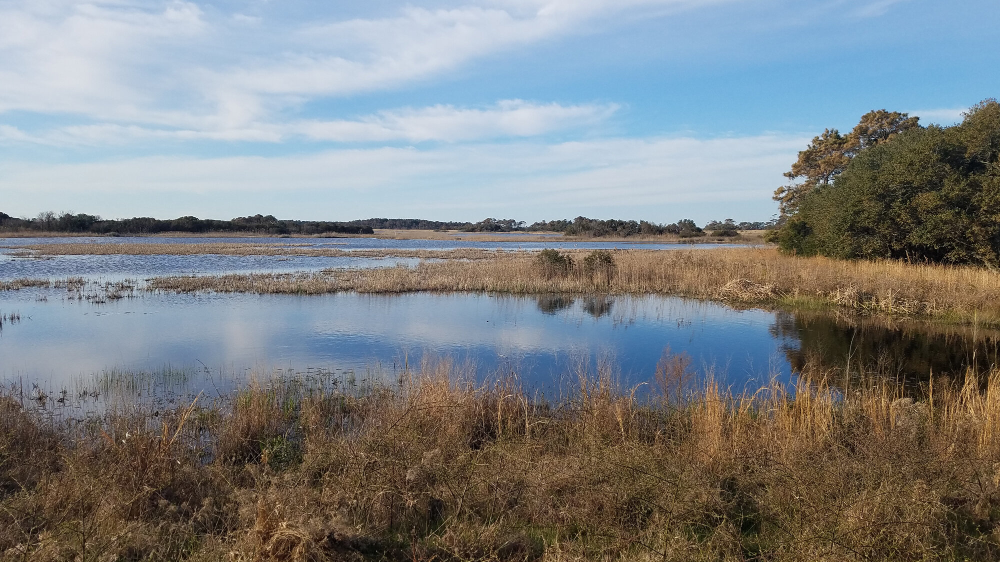  C Pool / Back Bay NWR / 14 Mar 