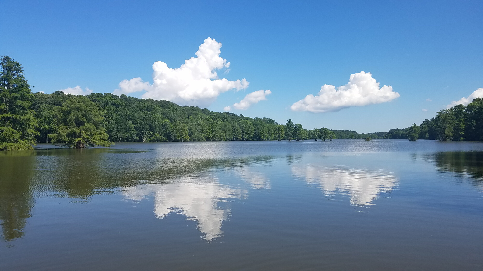  Stumpy Lake / 2 Jul 