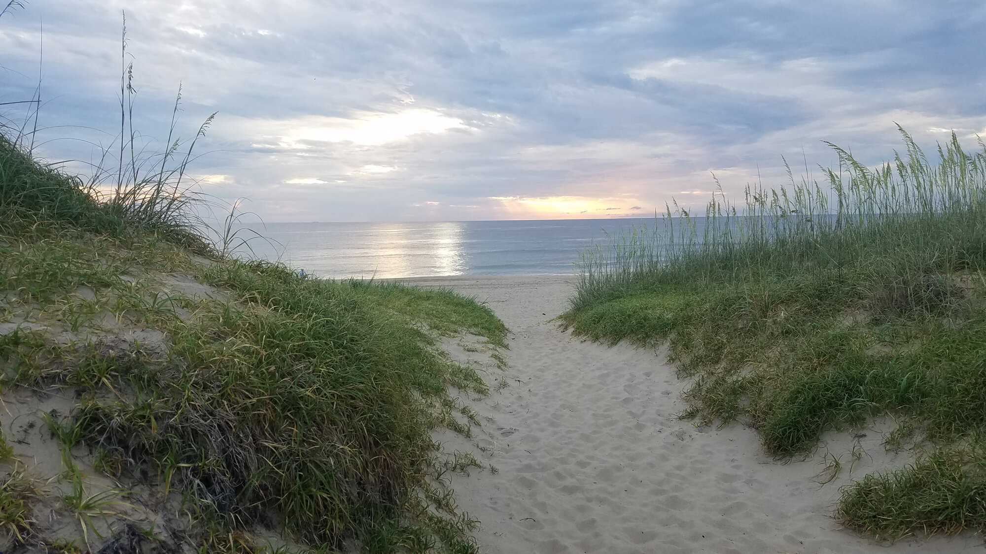  Back Bay NWR / 25 Jul 