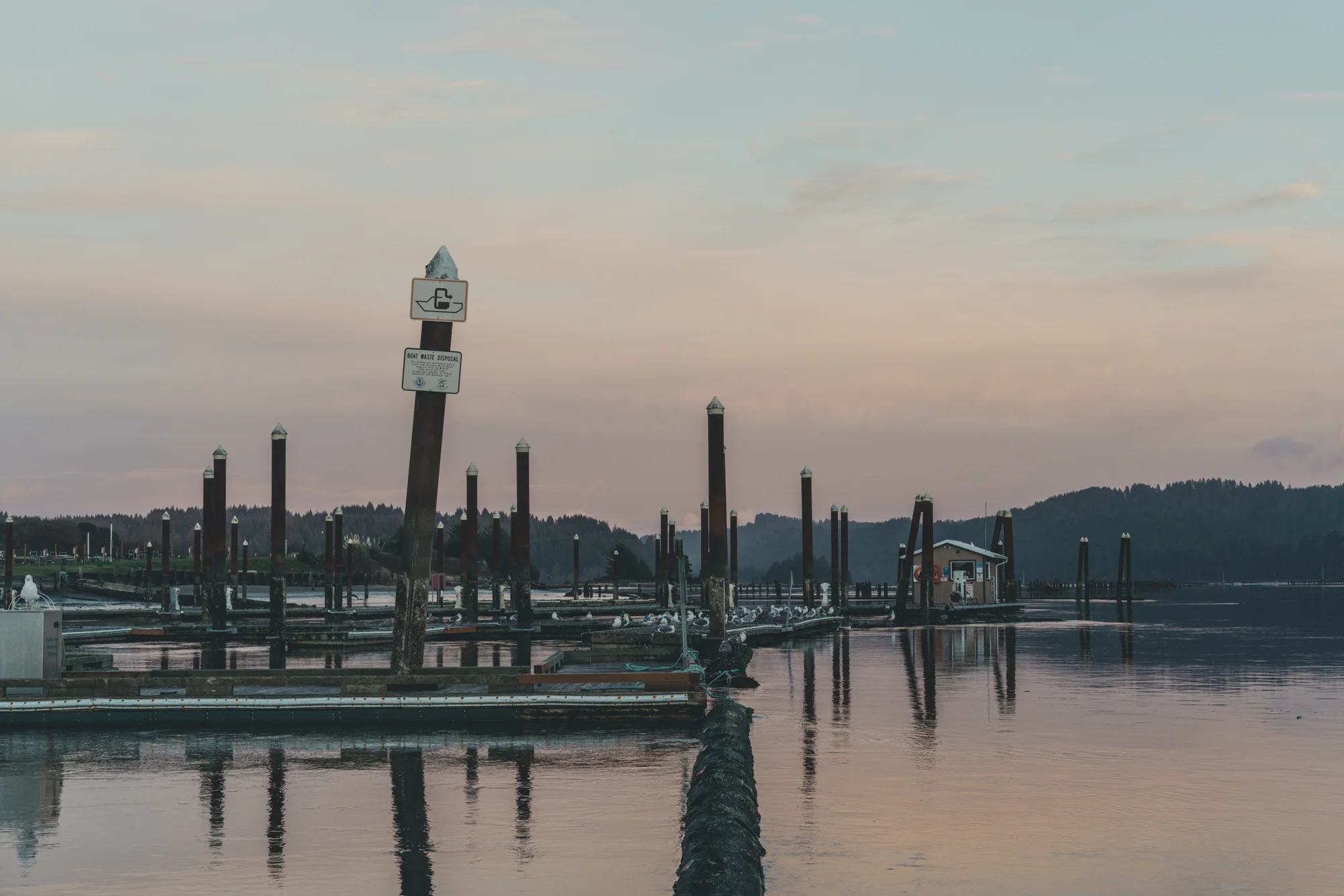 Oregon Landscapes - 009.jpg