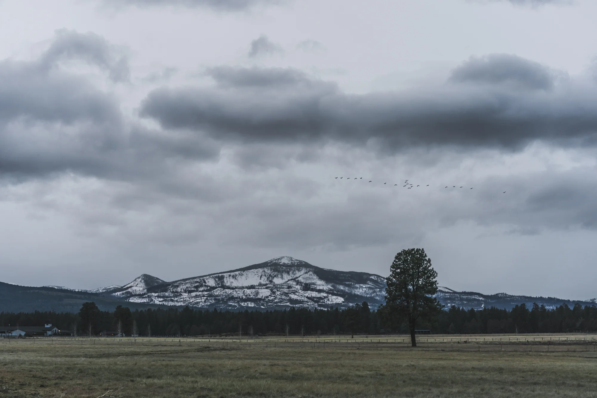 Oregon Landscapes - 002.jpg
