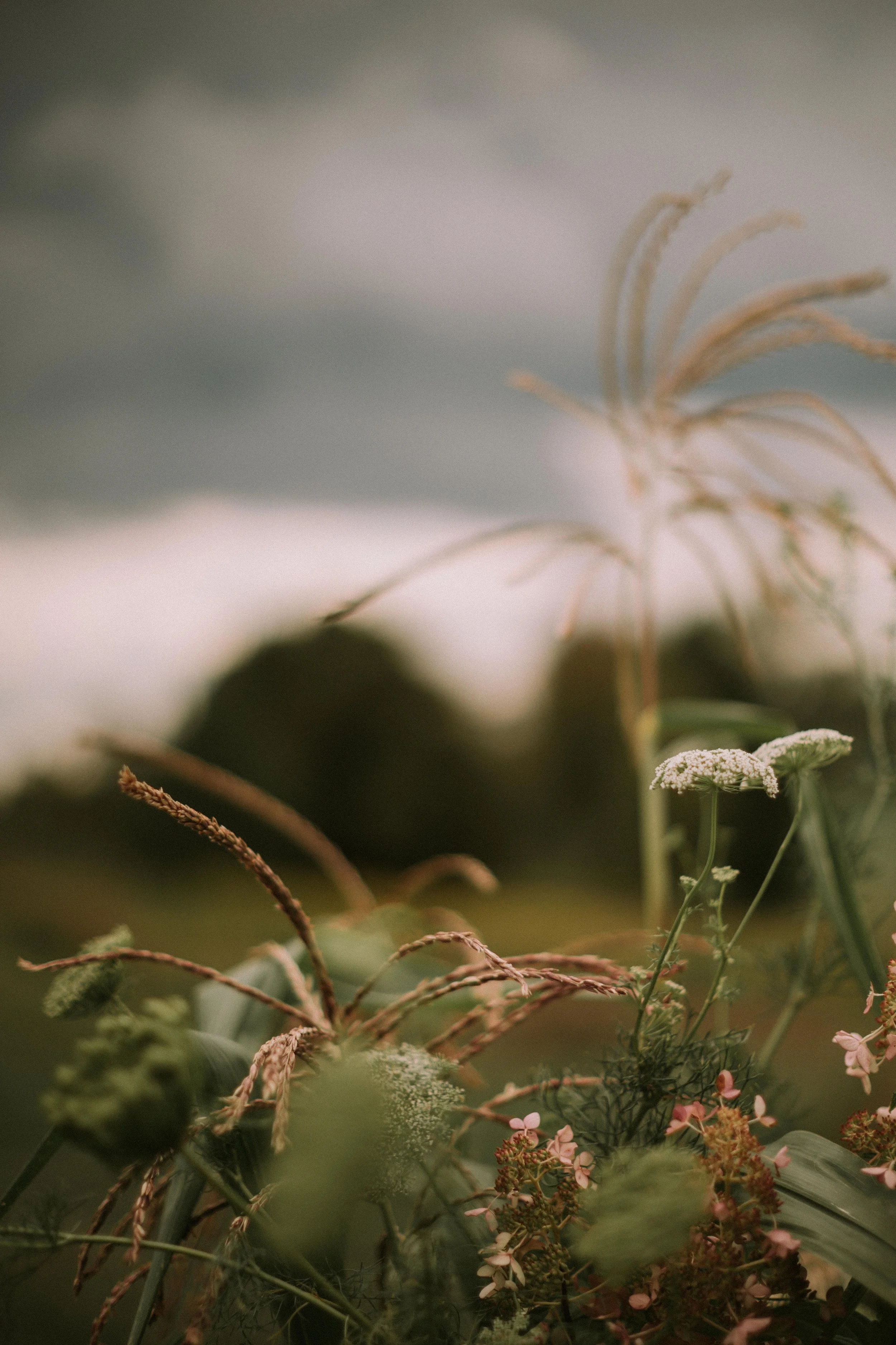 Erica and Nolan 1837.jpg