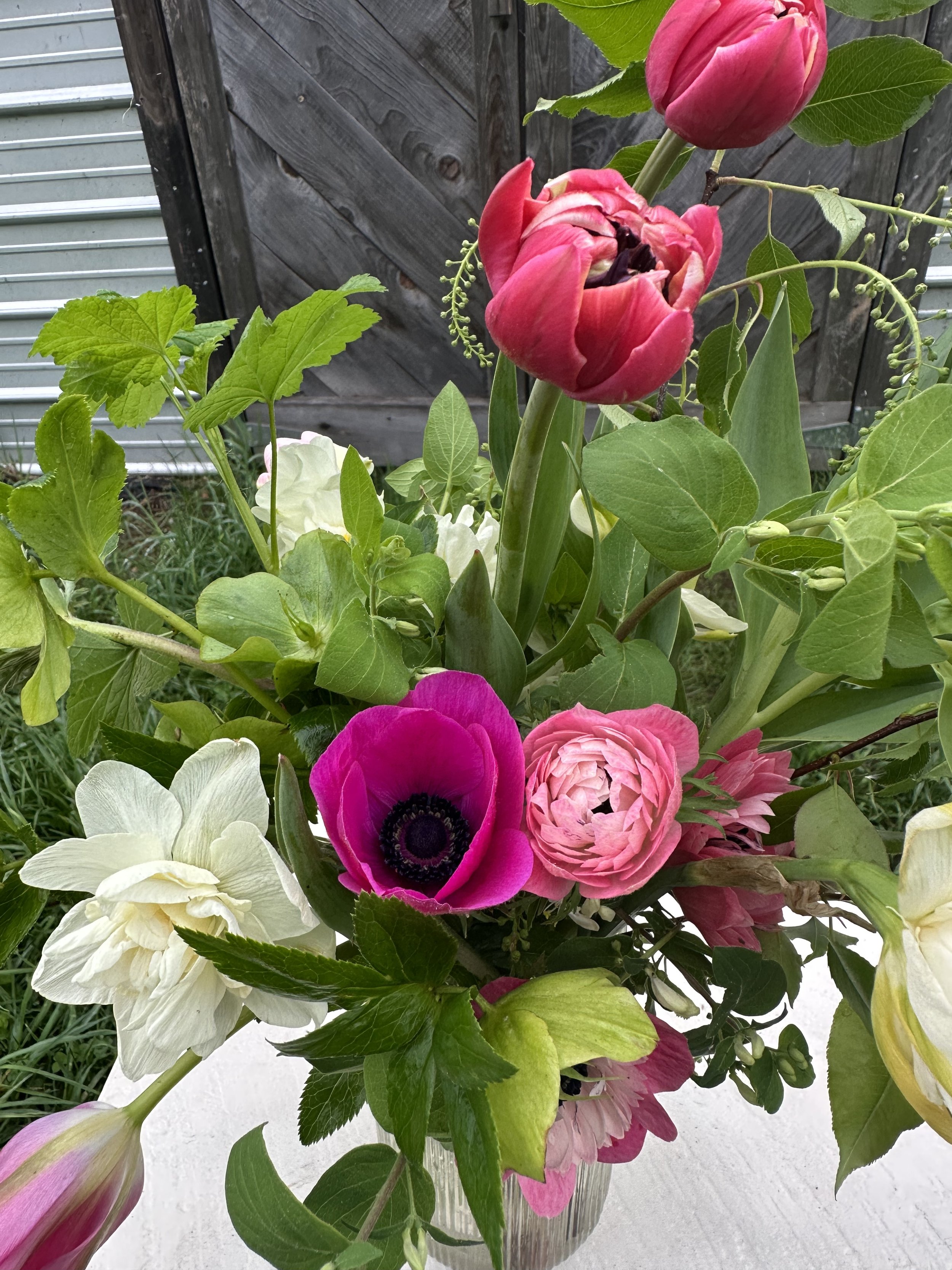 IMG_1020 5.jpeg