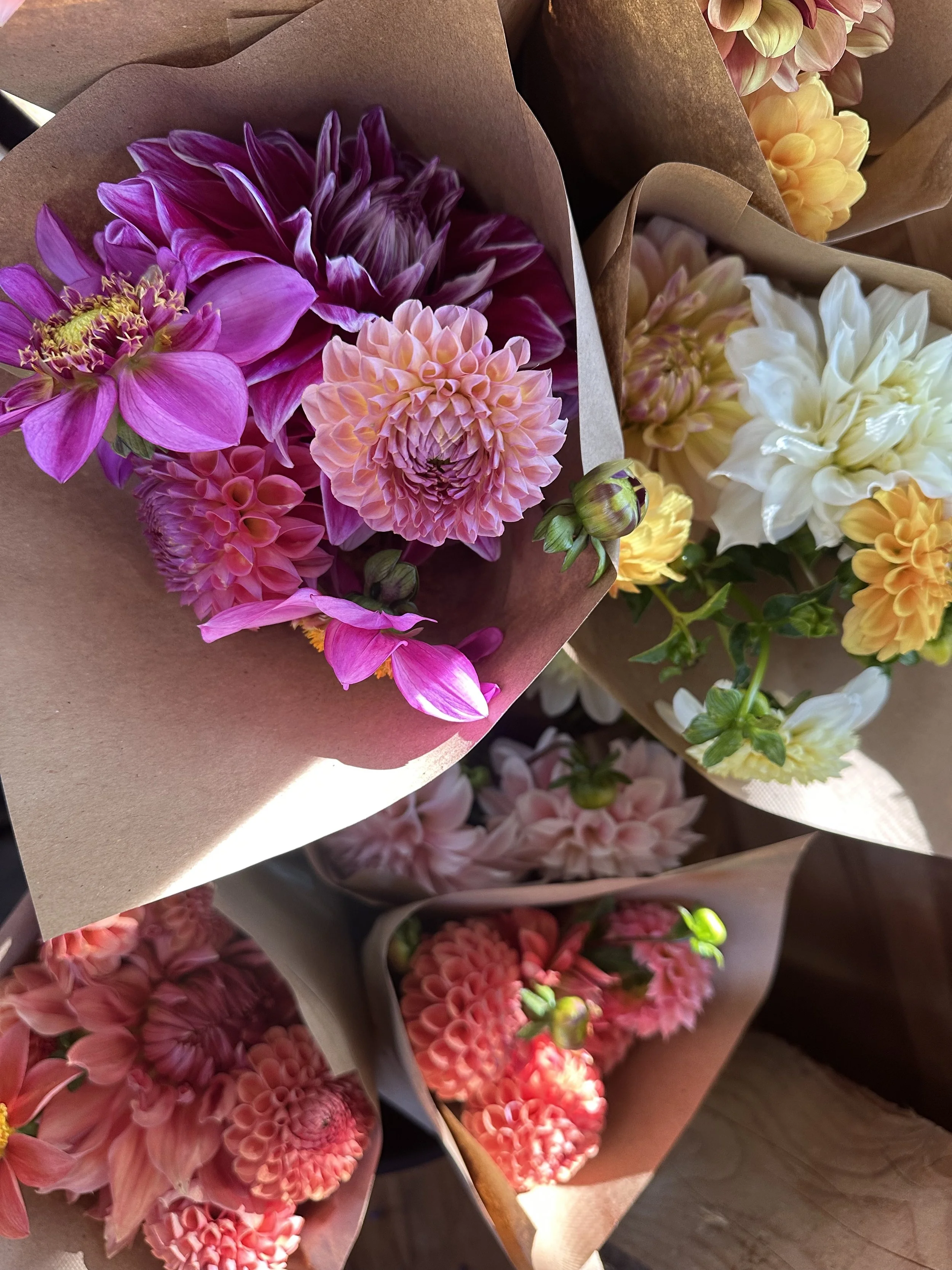 Bell Brook Farm Flower CSA Bouquet Shares