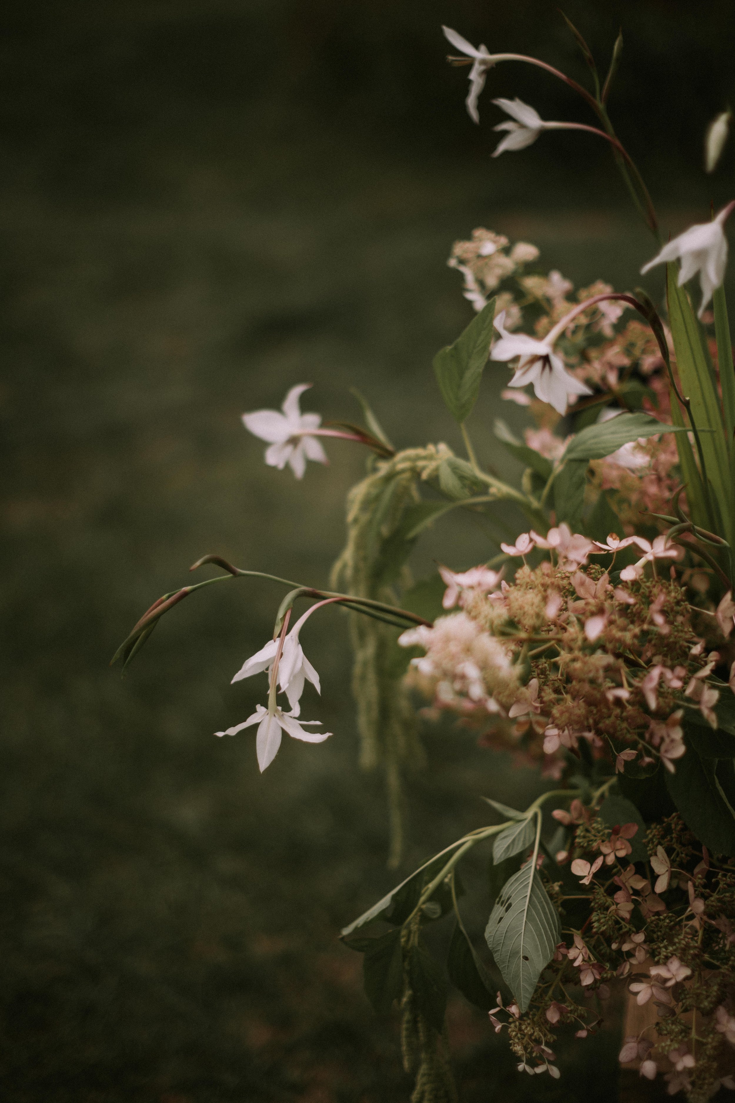 Erica and Nolan 1839.jpg