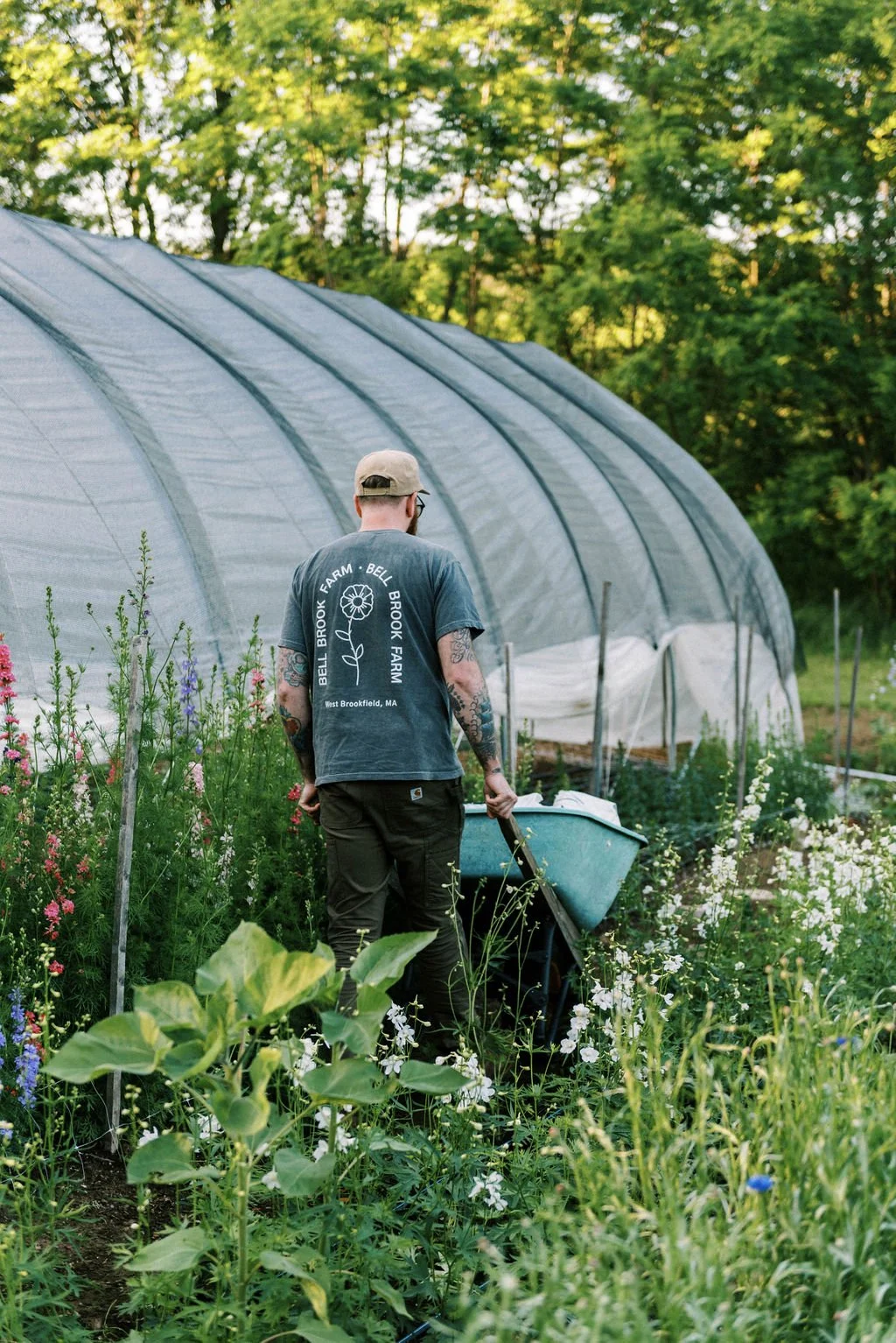 Partner Alan pushing wheelbarrow through field wearing bell brook farm t shirt
