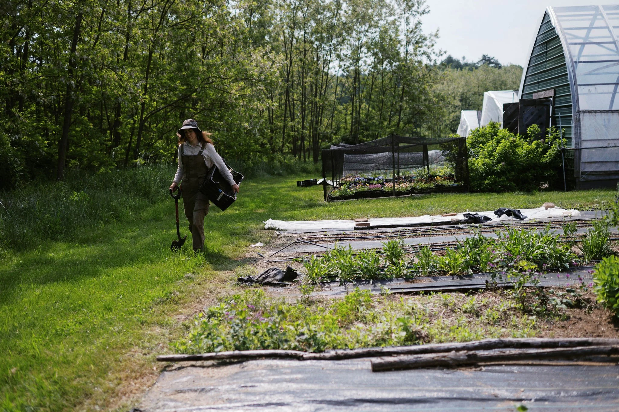 Employee carrying crate and shovel across field