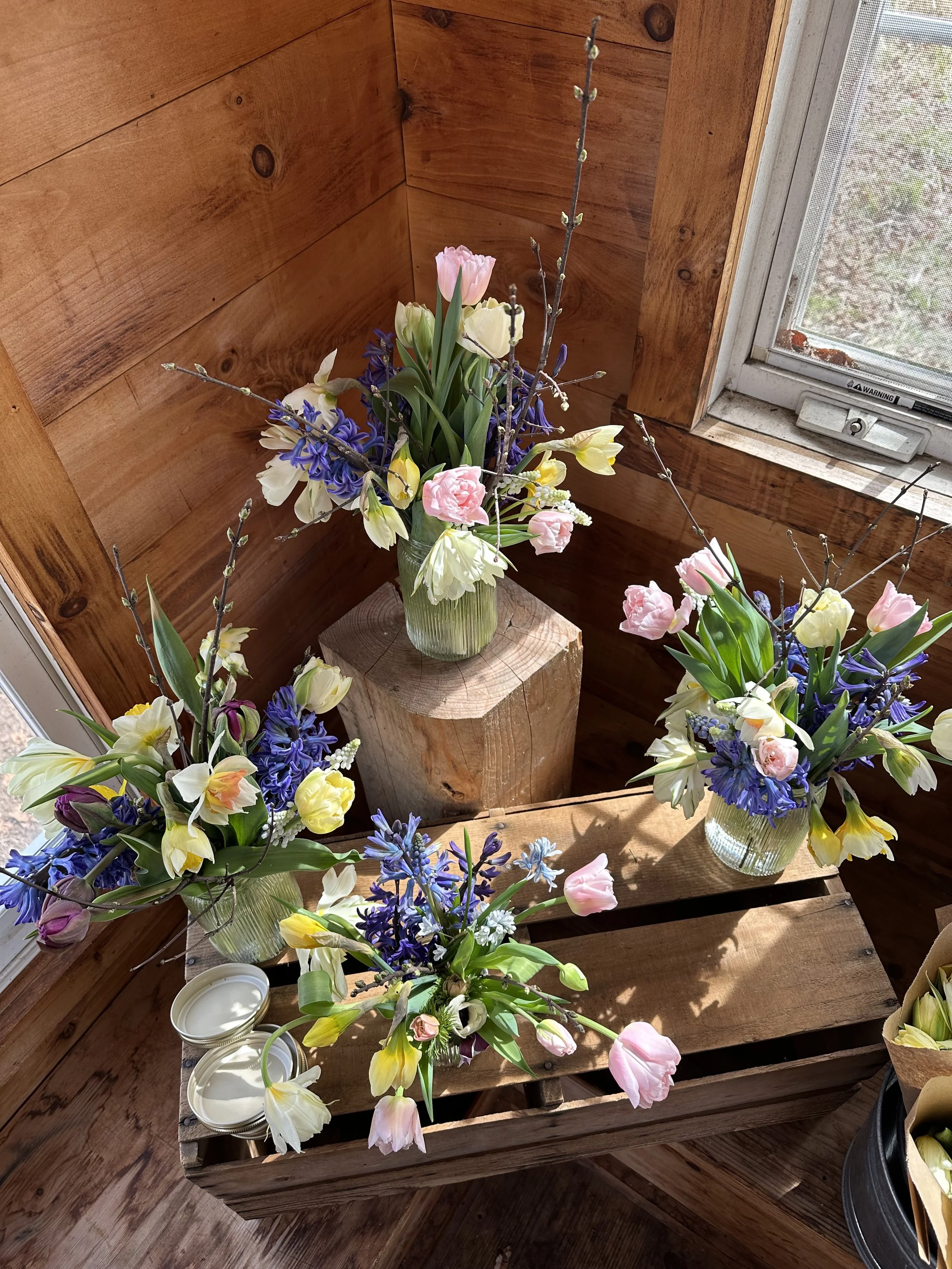 mini spring arrangements in farm stand