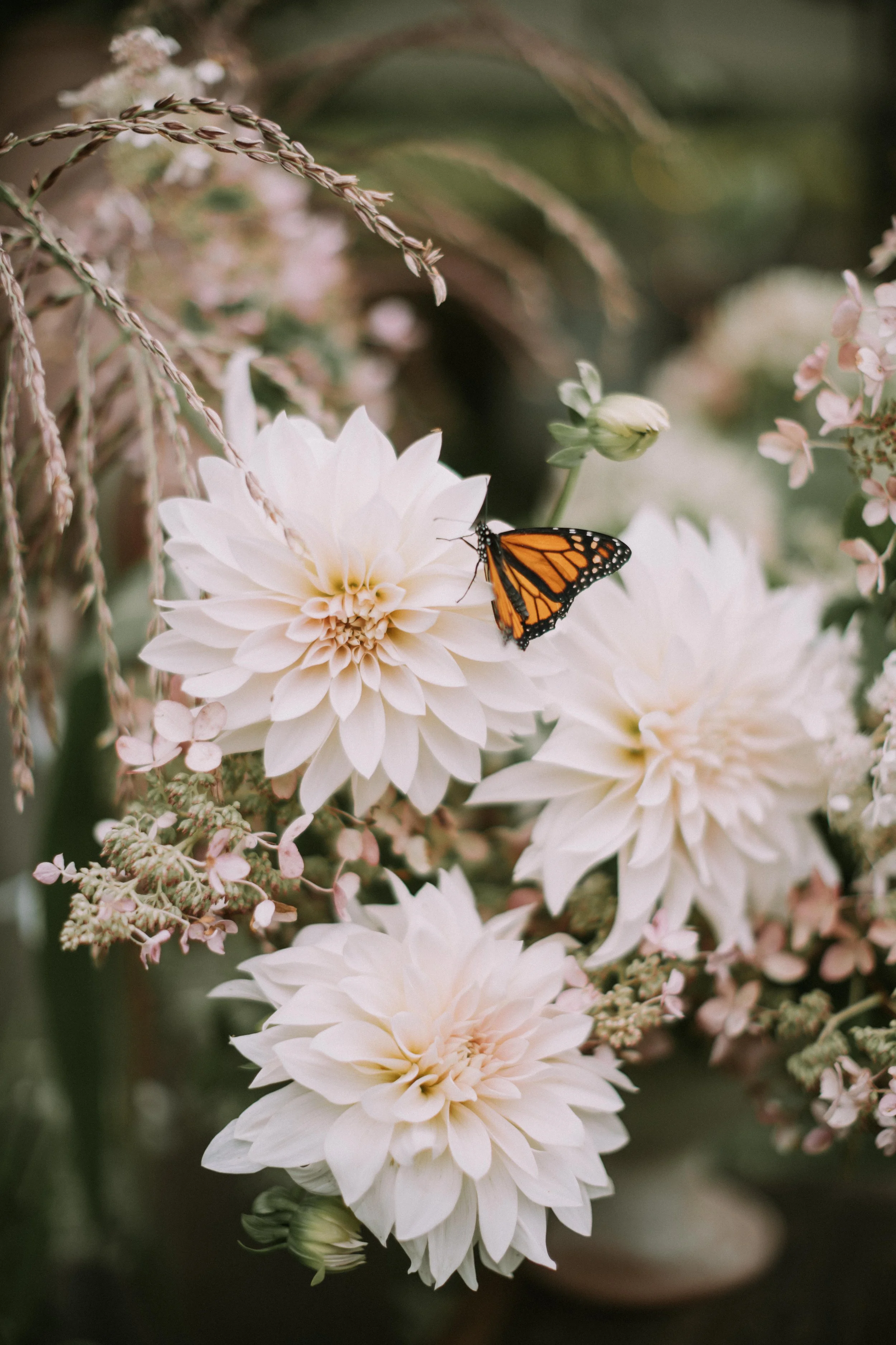 Erica and Nolan 1929.jpg
