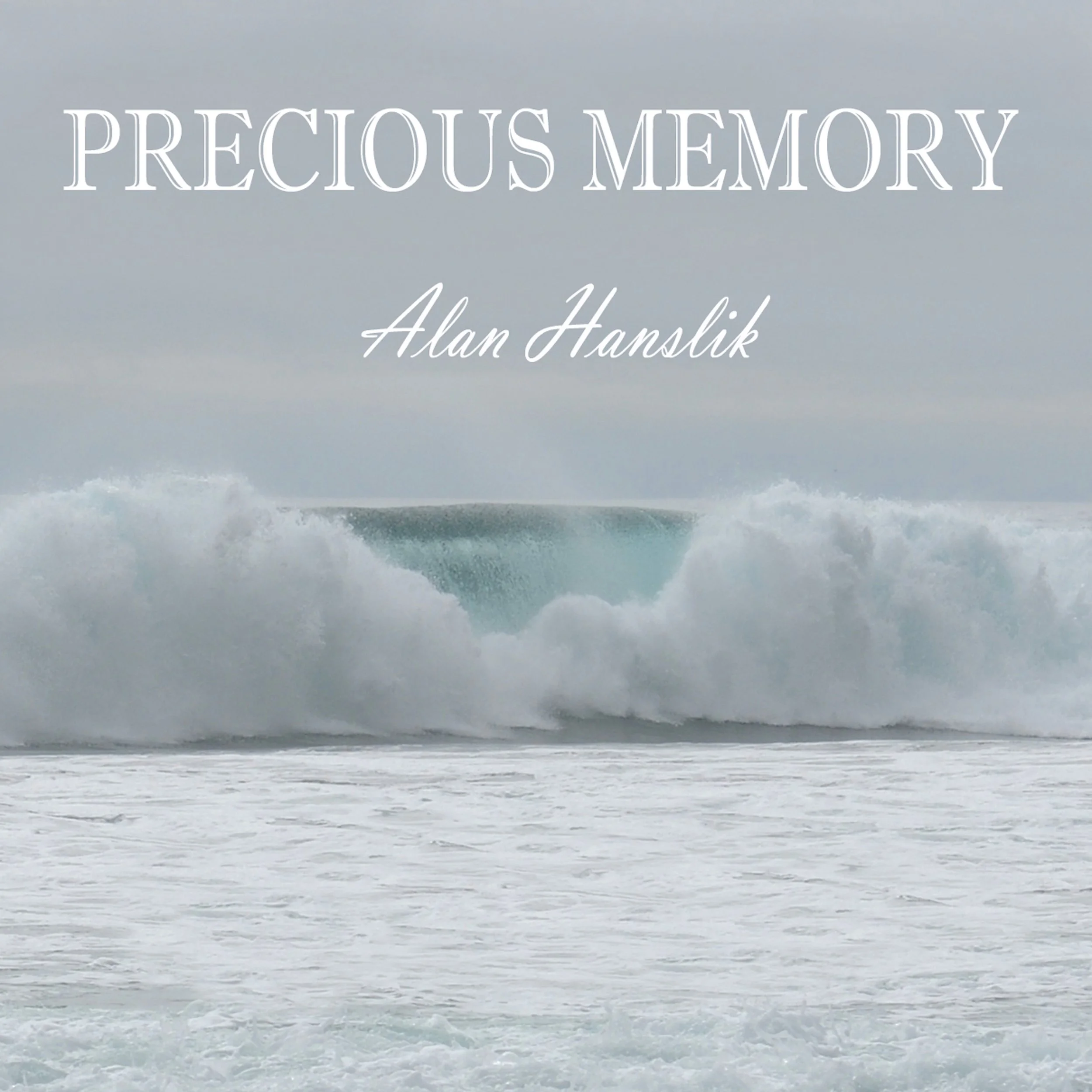 PreciousMemoryNEU,COVER2 copy.jpg