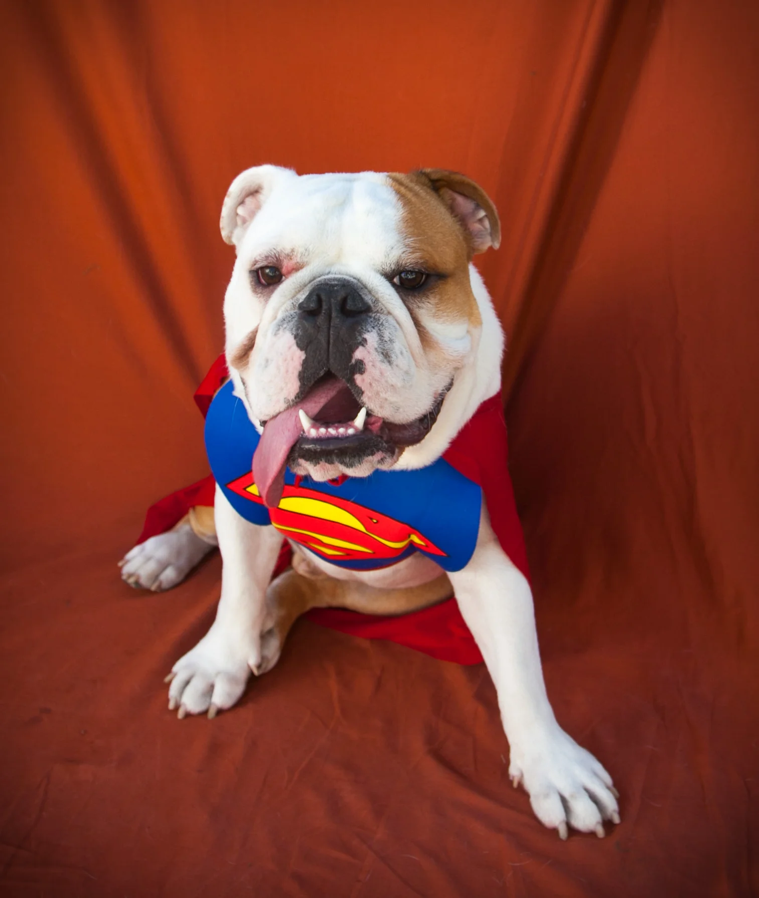 Halloween Shoot 2010-5.jpg