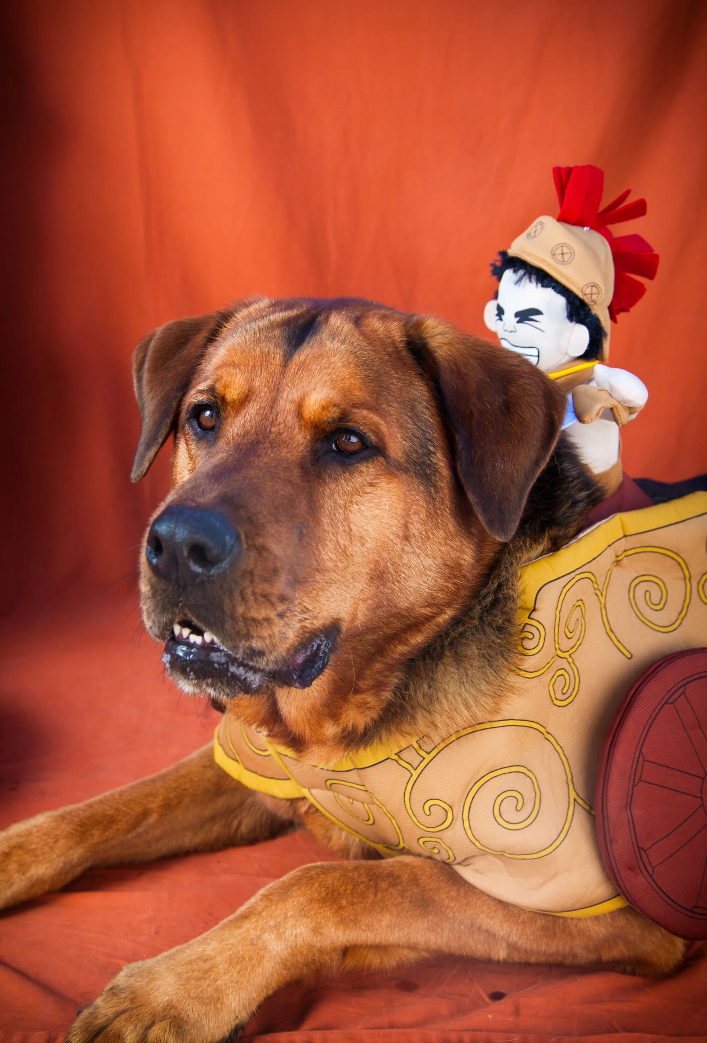 Halloween Shoot 2010-6.jpg