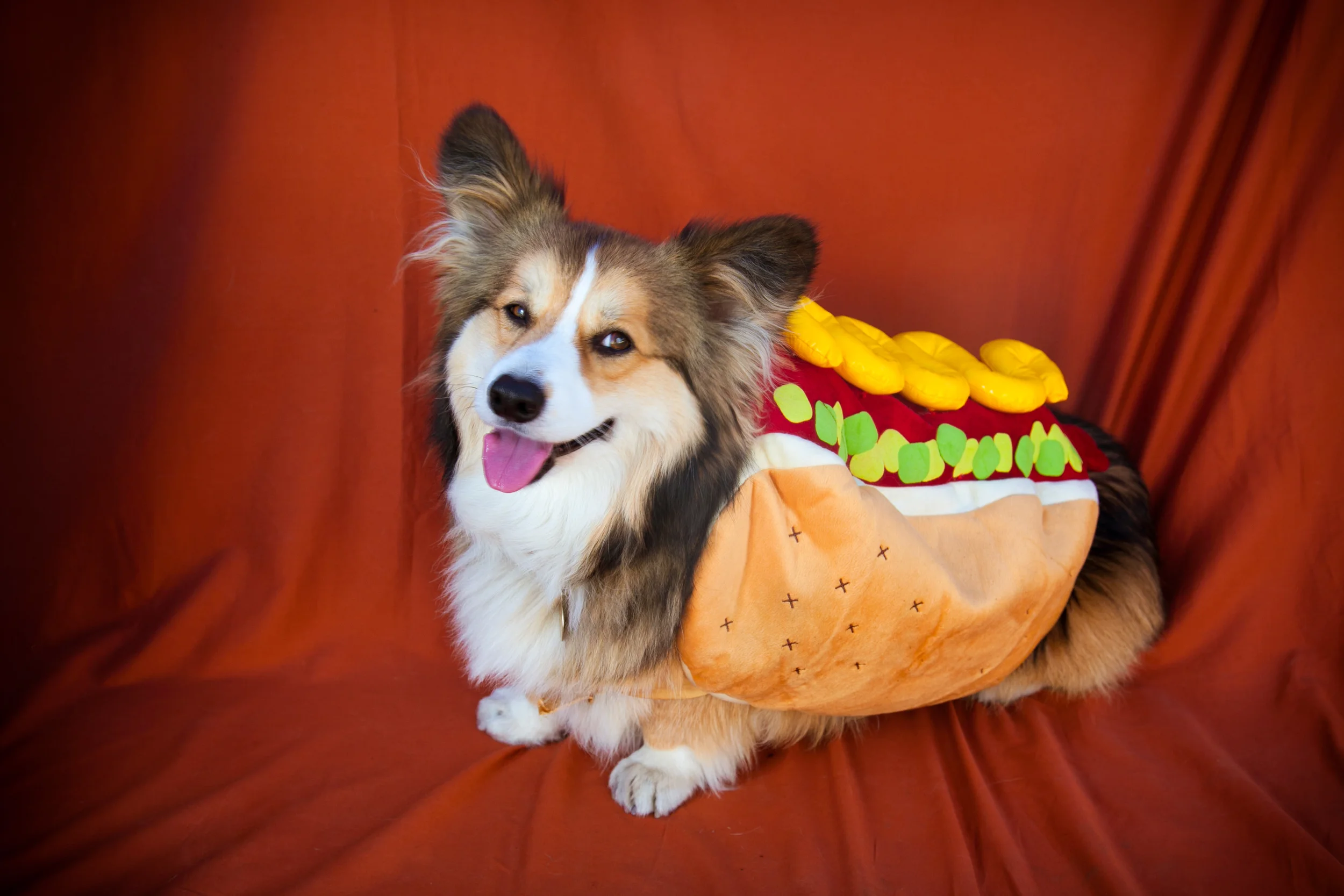 Halloween Shoot 2010.jpg