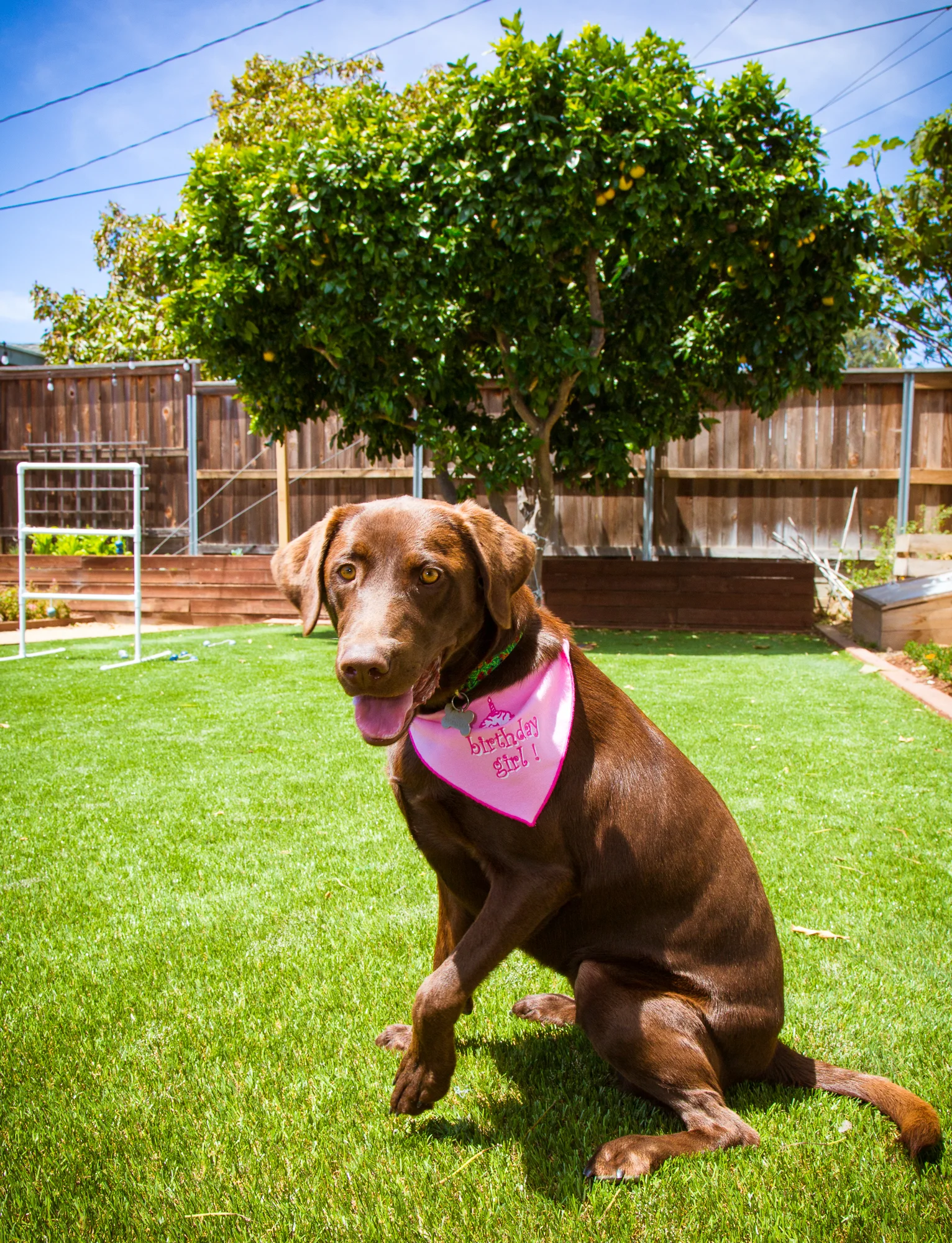 Livy's Bday Party-38.jpg