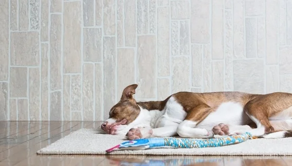 Photoshoot Blooper Reel!