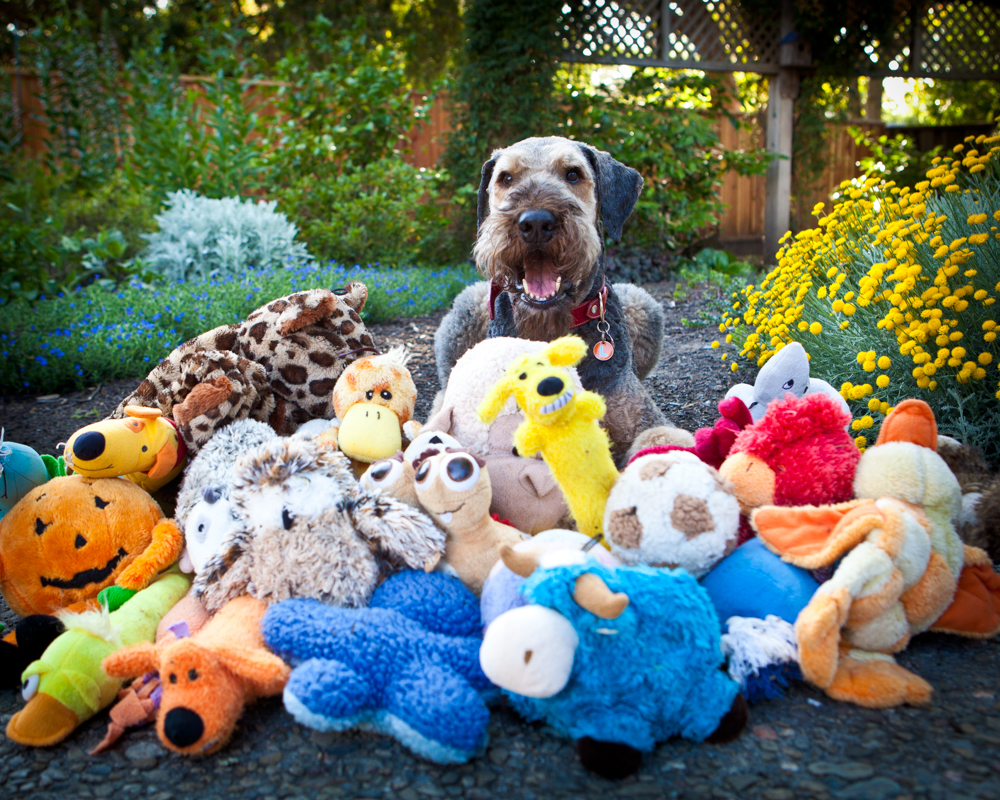 So many toys!!