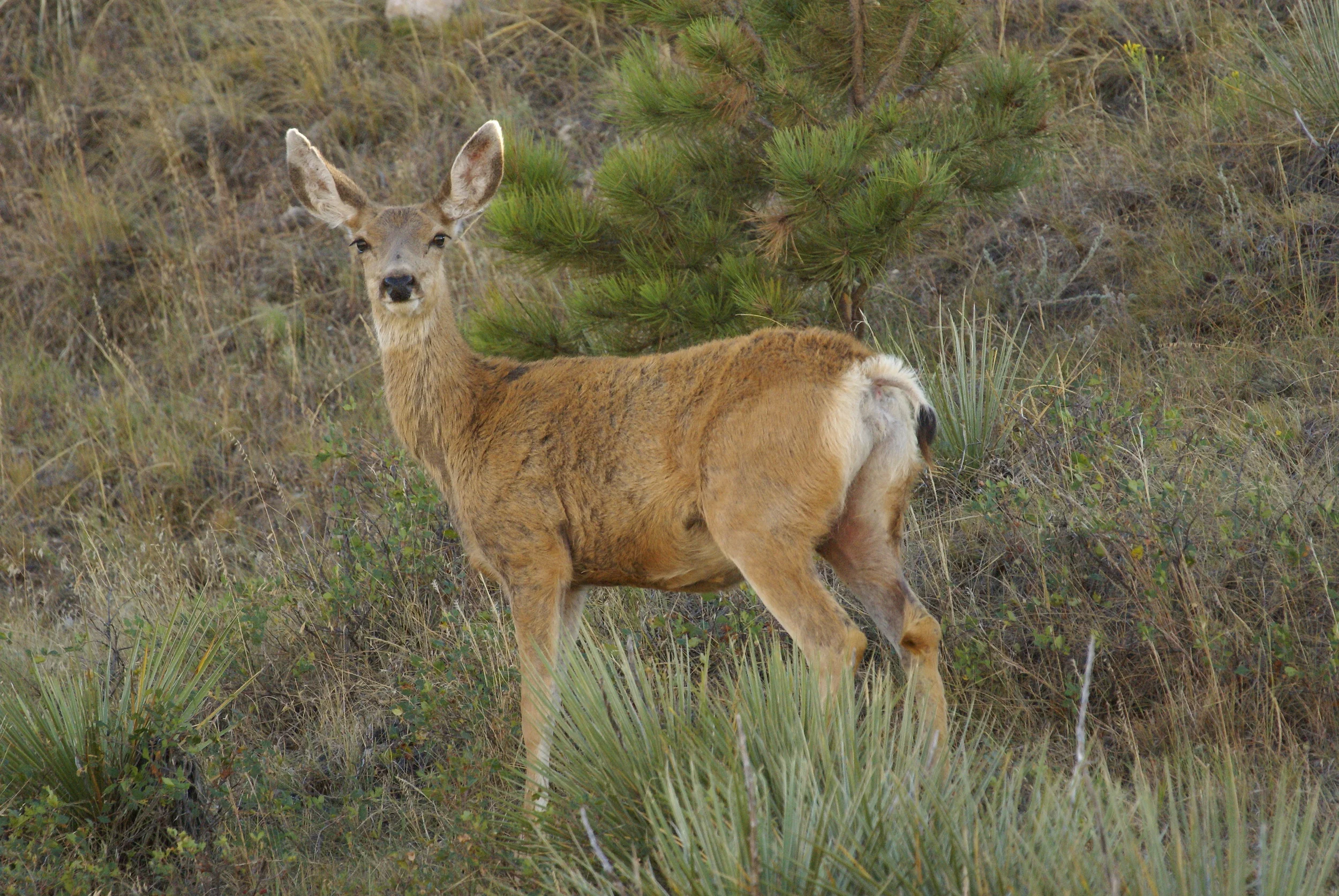 Banner County Ne Official Site