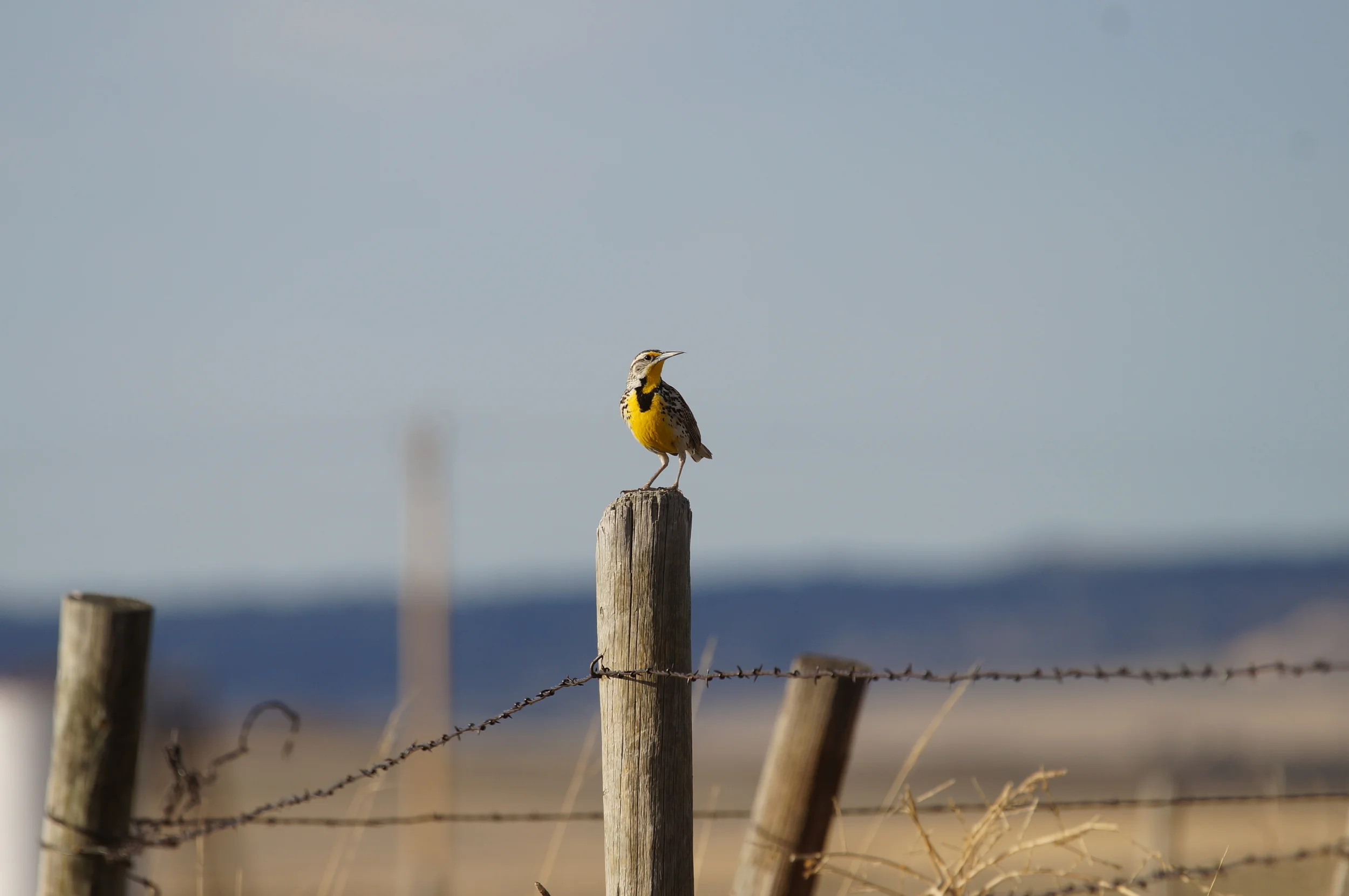 Banner County Ne Official Site