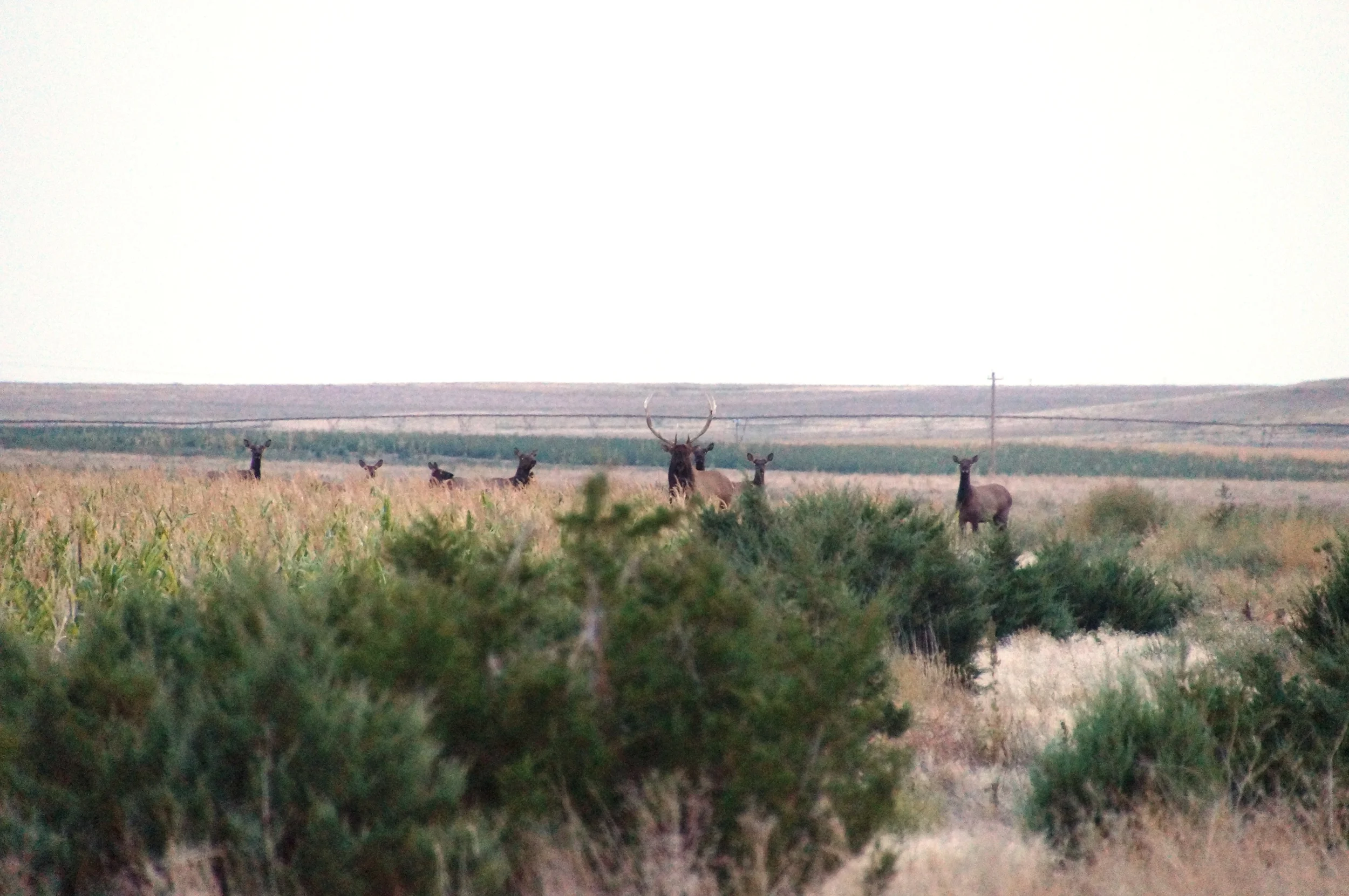 Banner County Ne Official Site