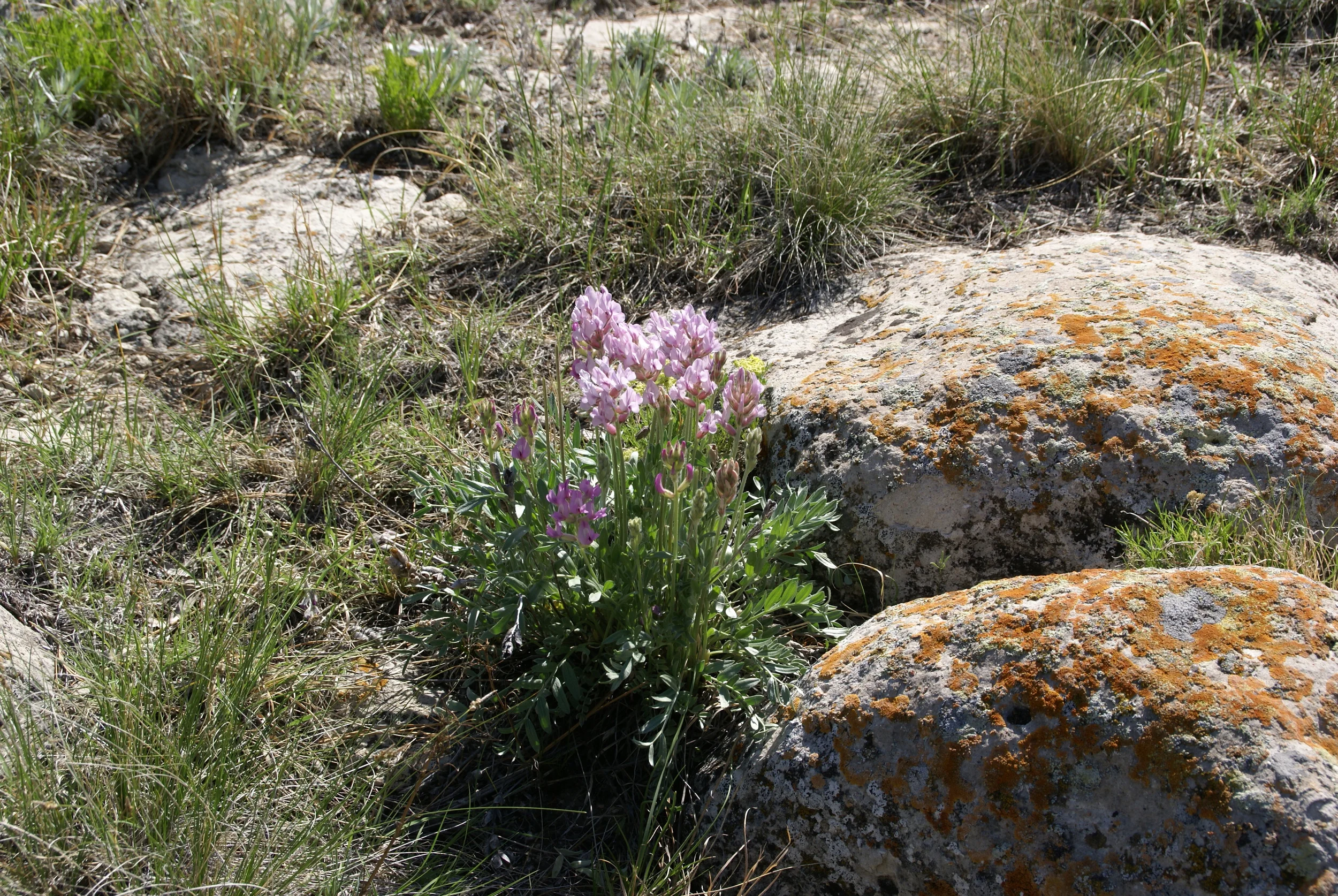 Banner County Ne Official Site