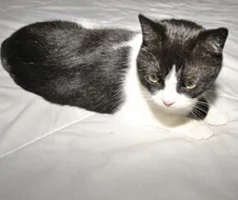  Luna