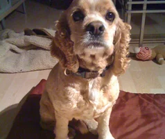  Tucker