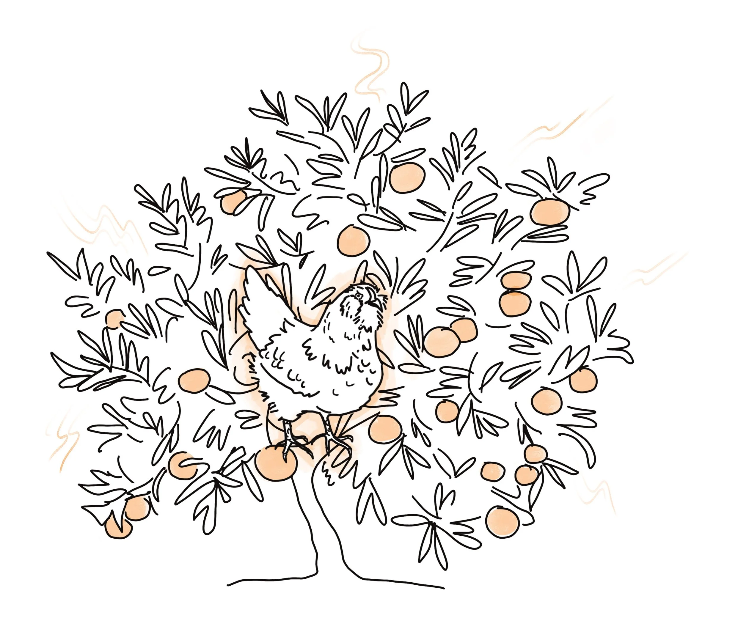 Untitled_Artwork 3.JPG