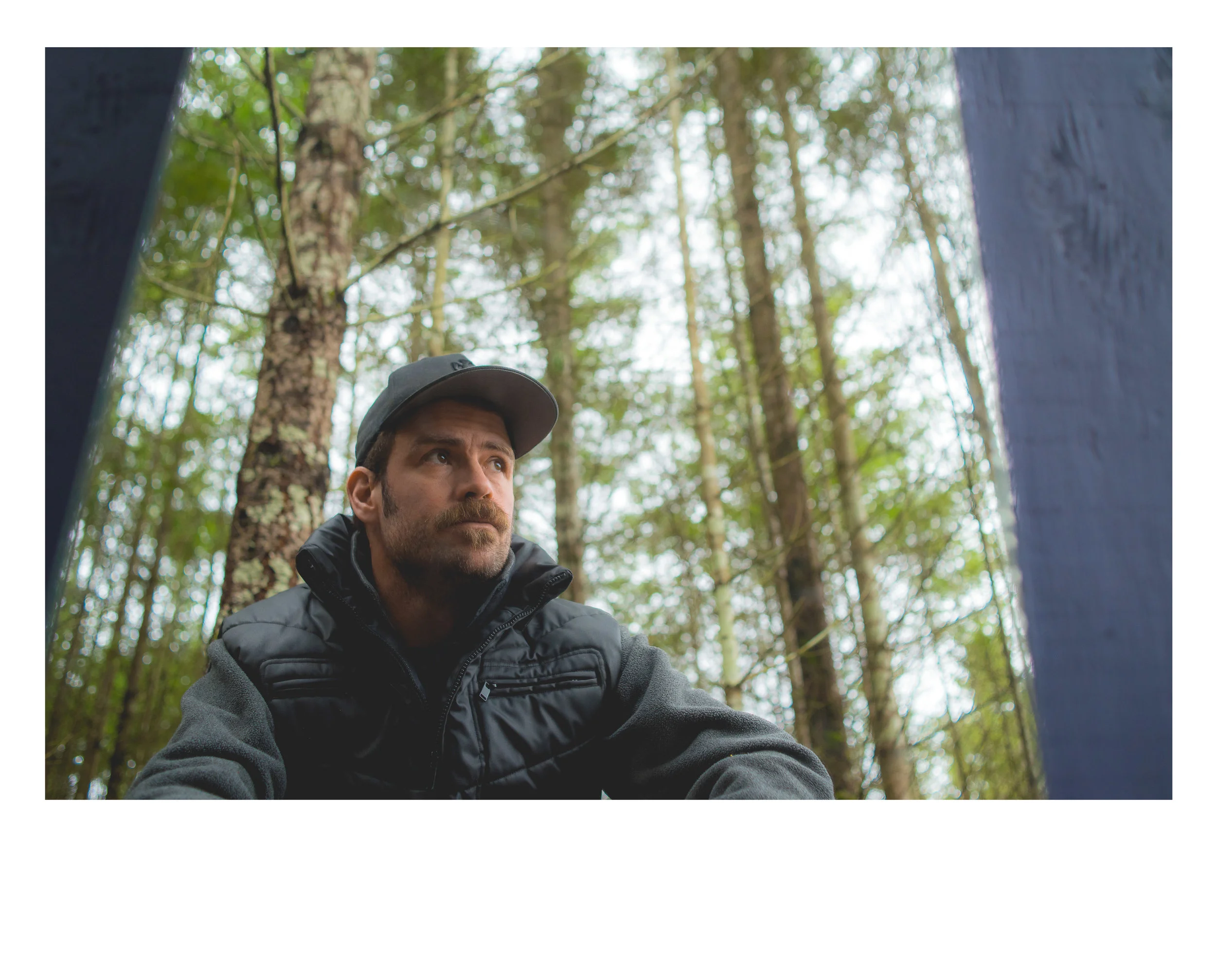 QDP | SELF PORTRAIT MIRROW WOODS.jpg