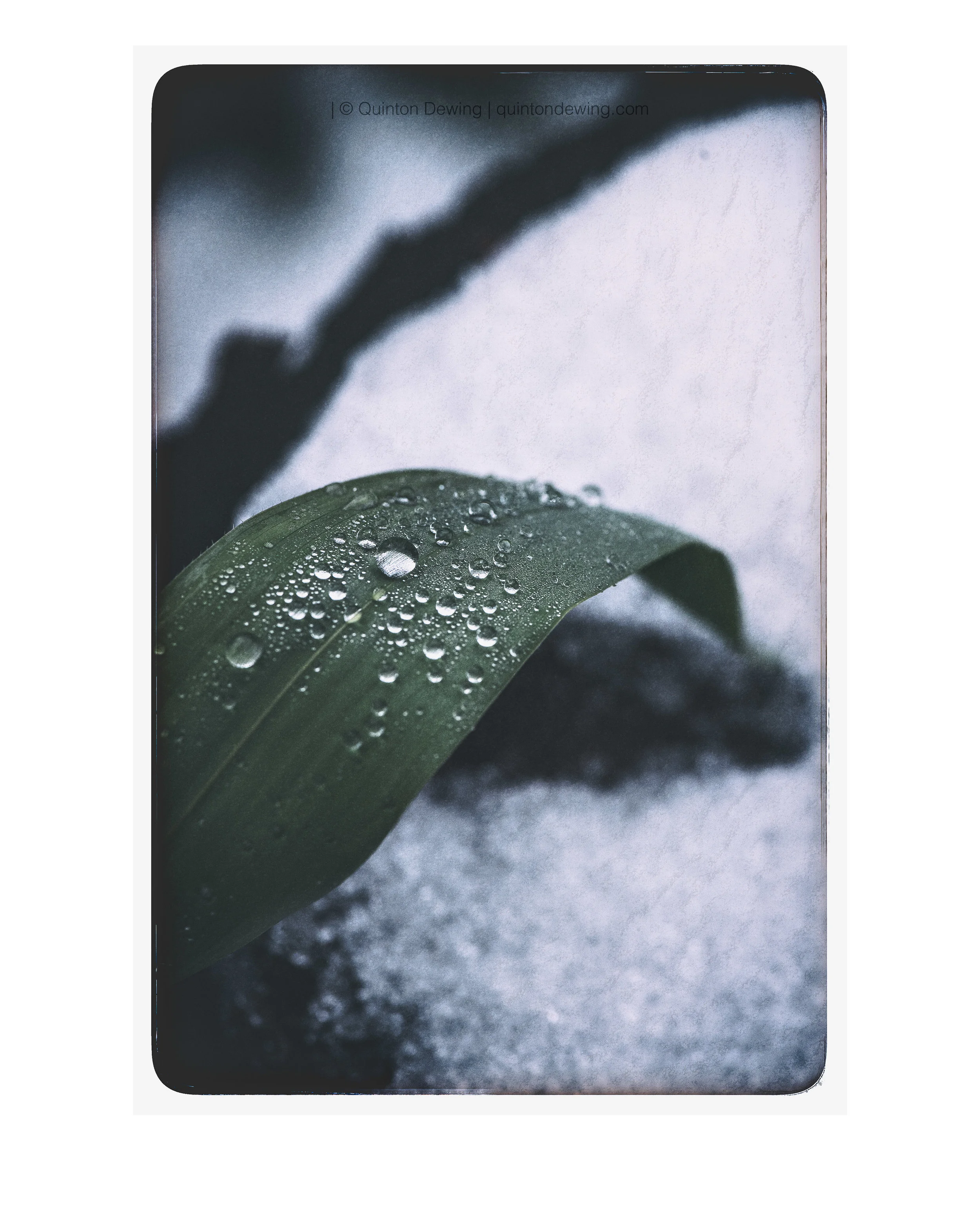 QDP | BC Ice and winter.jpg