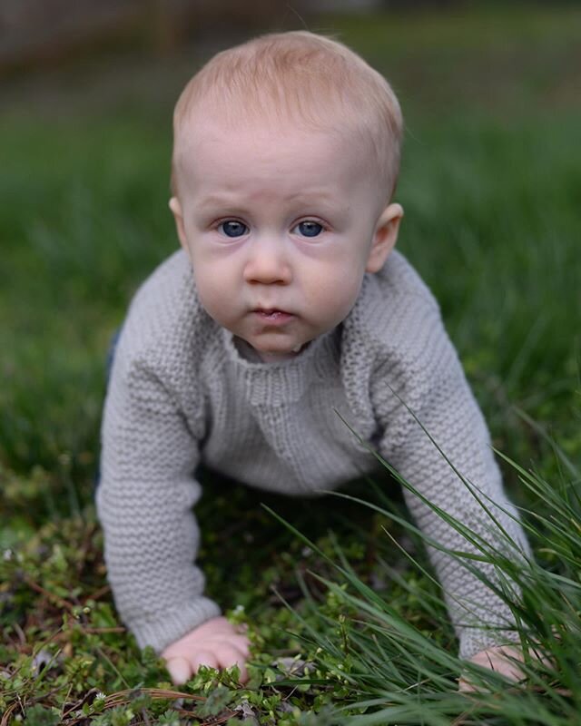 This boy is almost 8-months! He has two teeth and we think four more on the way. He&rsquo;s sitting up and crawling and a pro at pulling up, much to my constant comments that it&rsquo;s way too early. Here he is in his handknit sweater, a knit he onl
