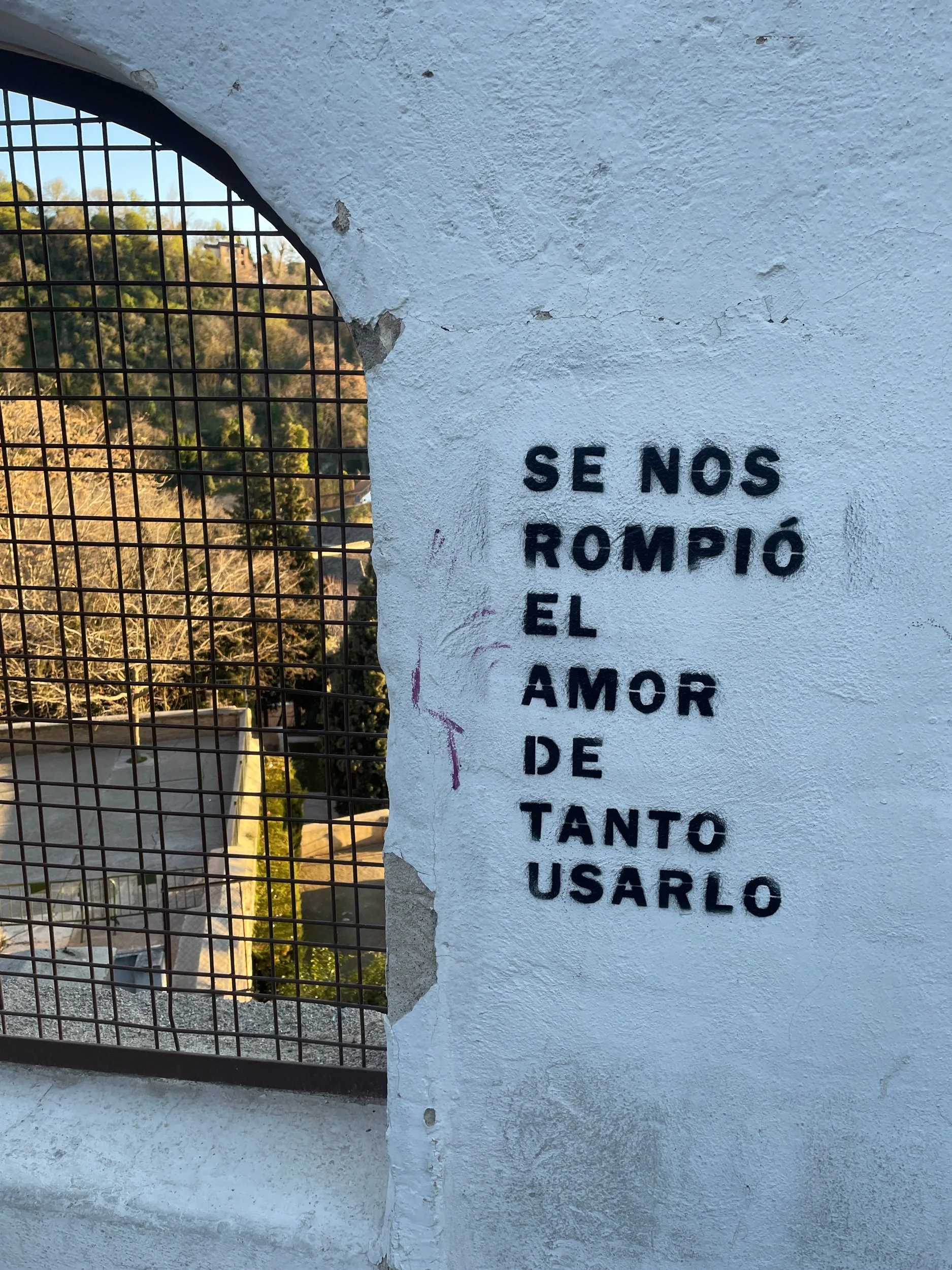 IMG_8302.jpeg