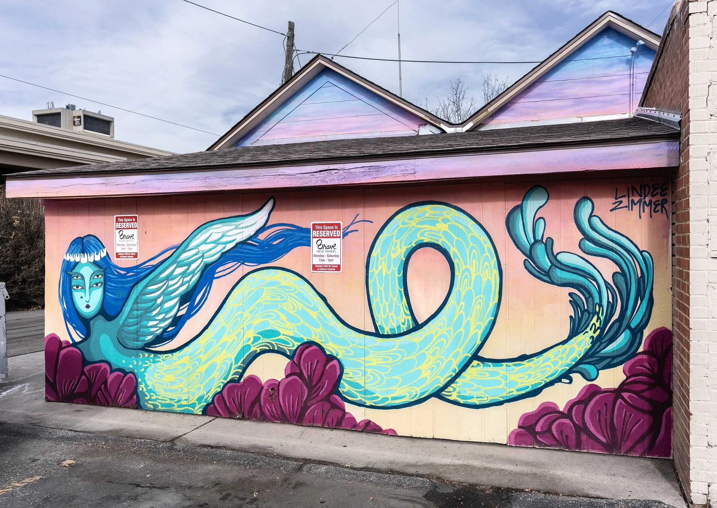 zimmer - brave new wheel.jpeg