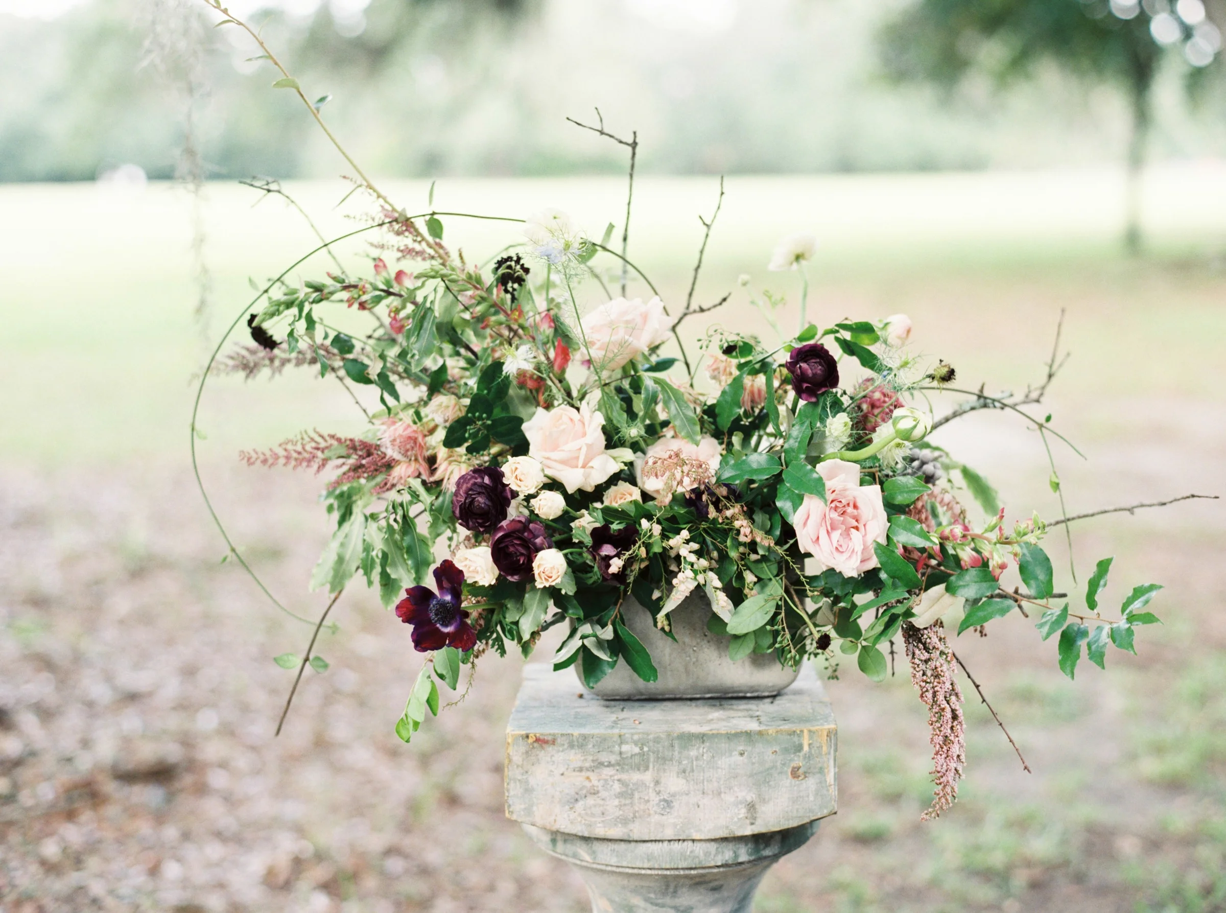   Middleton Place , Charleston, SC -Photo by  Sawyer Baird  