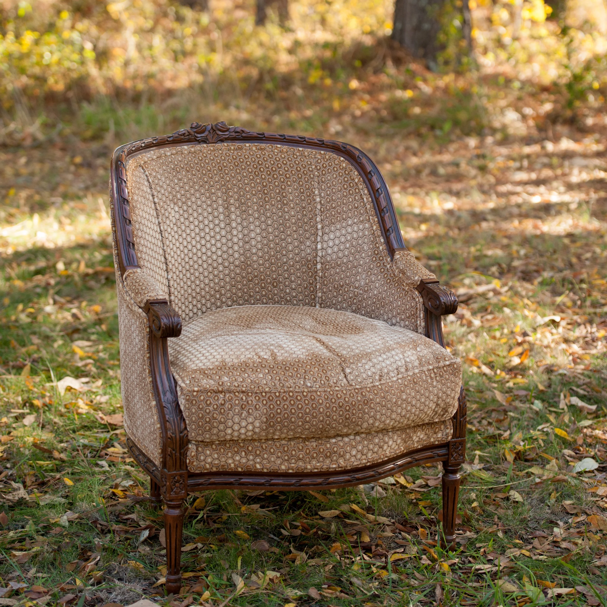 Louis XV Velvet Bergere Chair