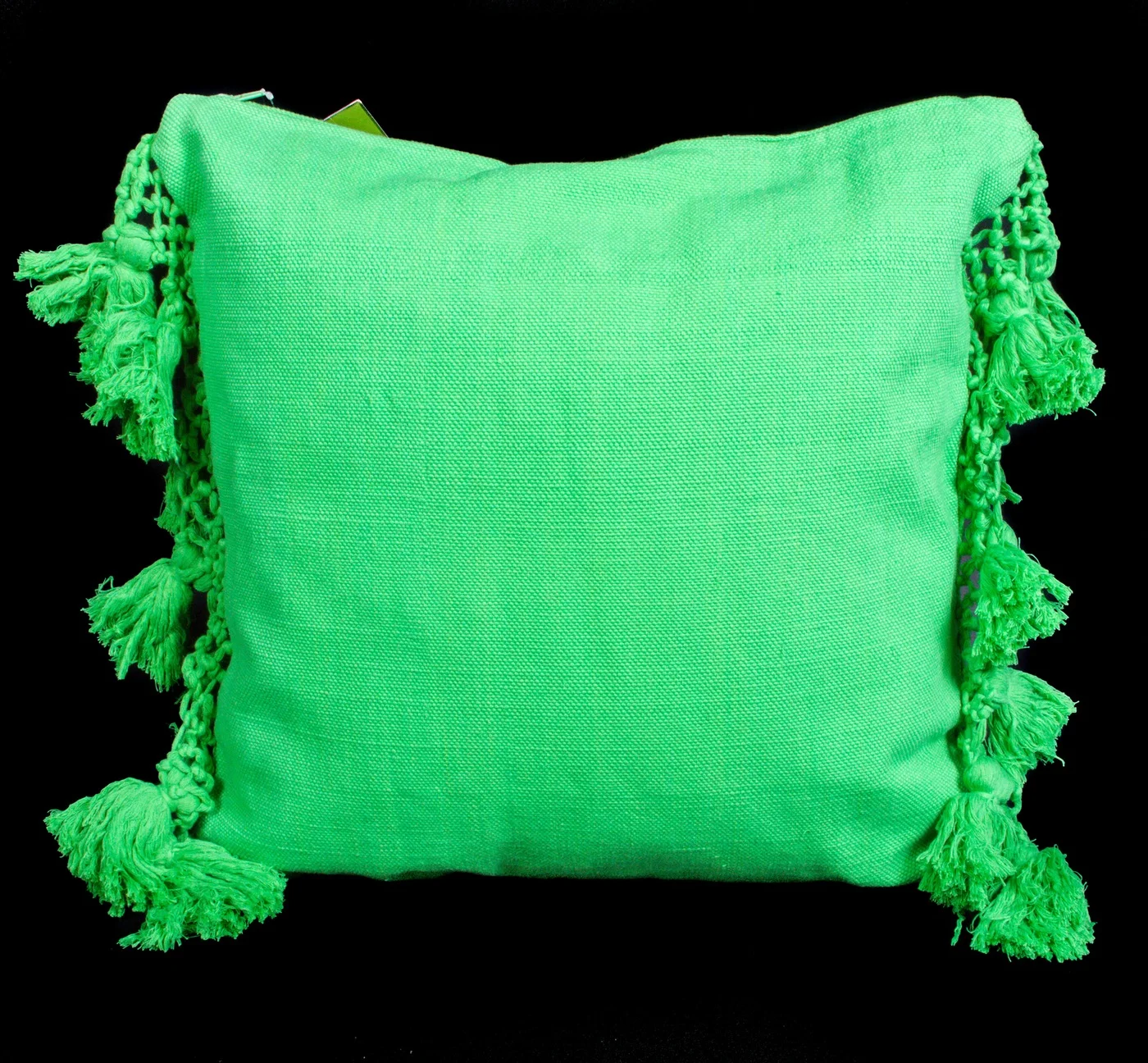 Pair of Kate Spade Tassel Pillows